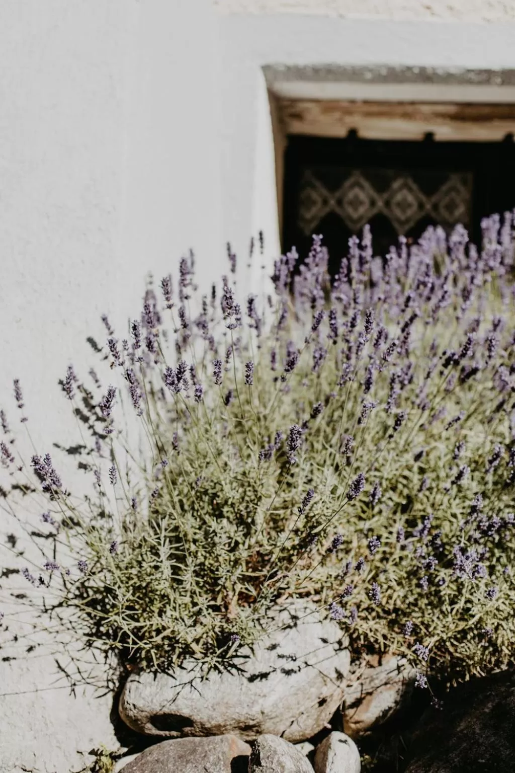 Property building in Hotel Hinteregger