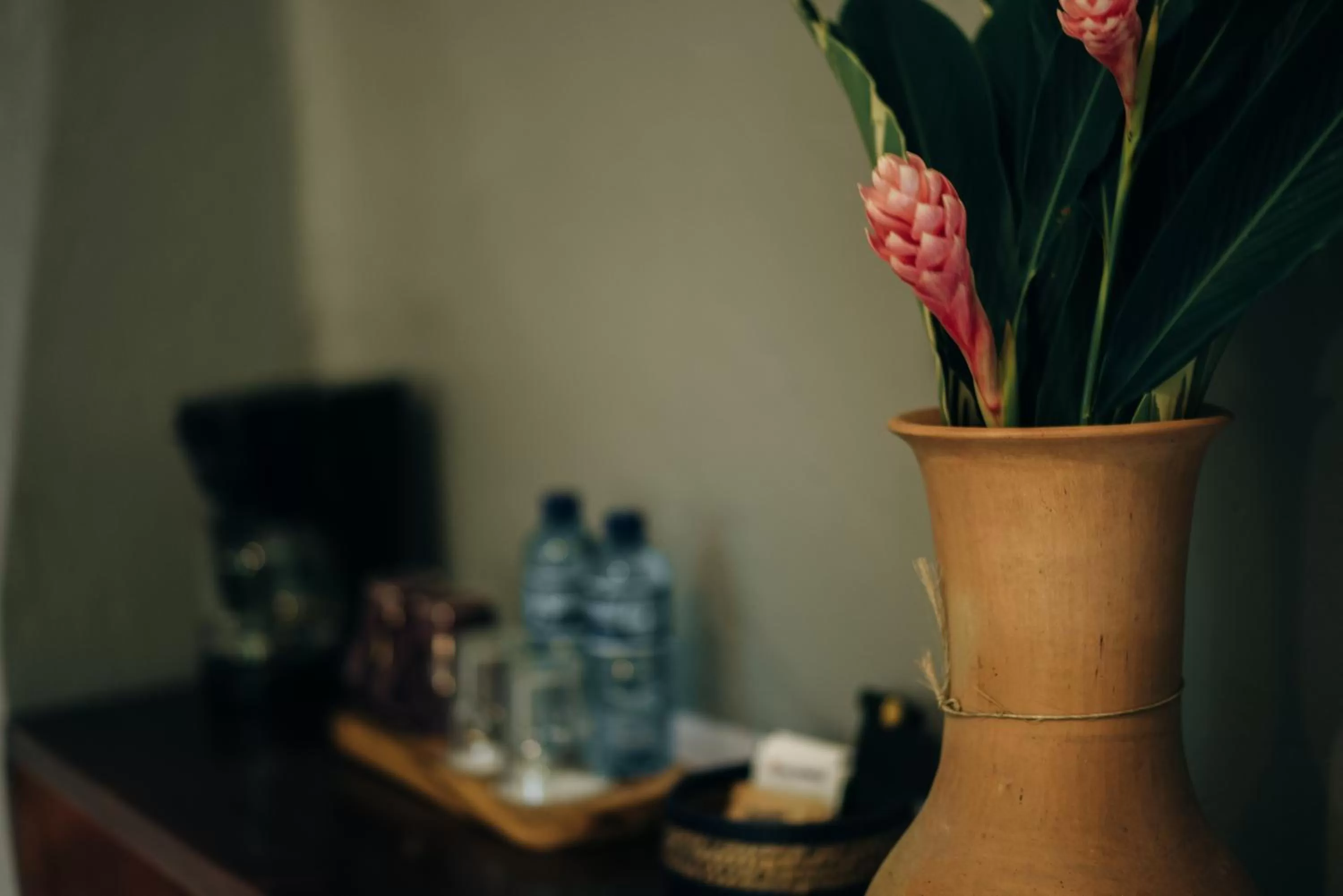 Coffee/tea facilities in Piedra de Agua Palenque