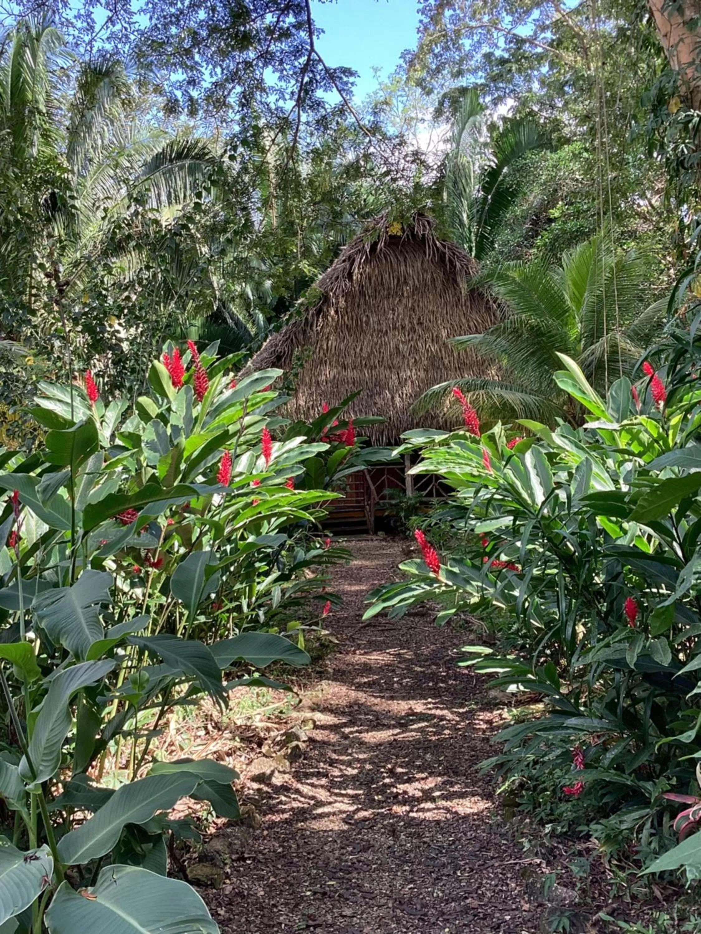 Property building in Sun Creek Lodge