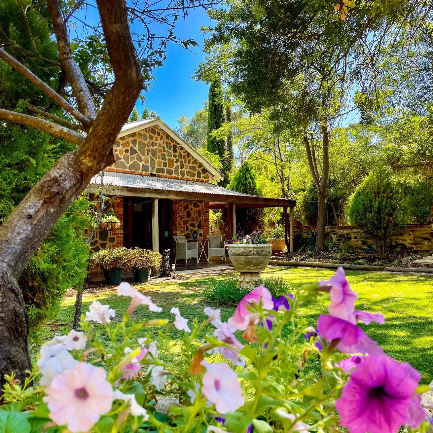 Garden view in Jacobs Creek Retreat - Barossa Valley