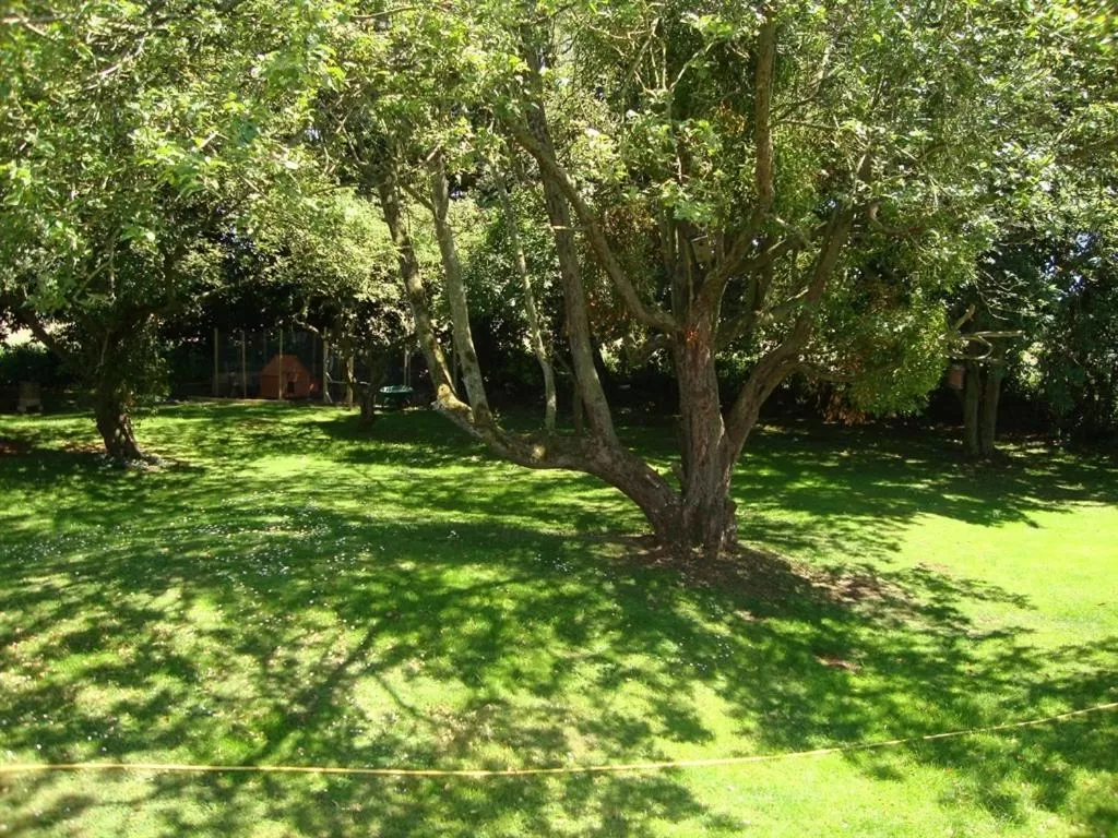 View (from property/room), Garden in The White Horse View B&B