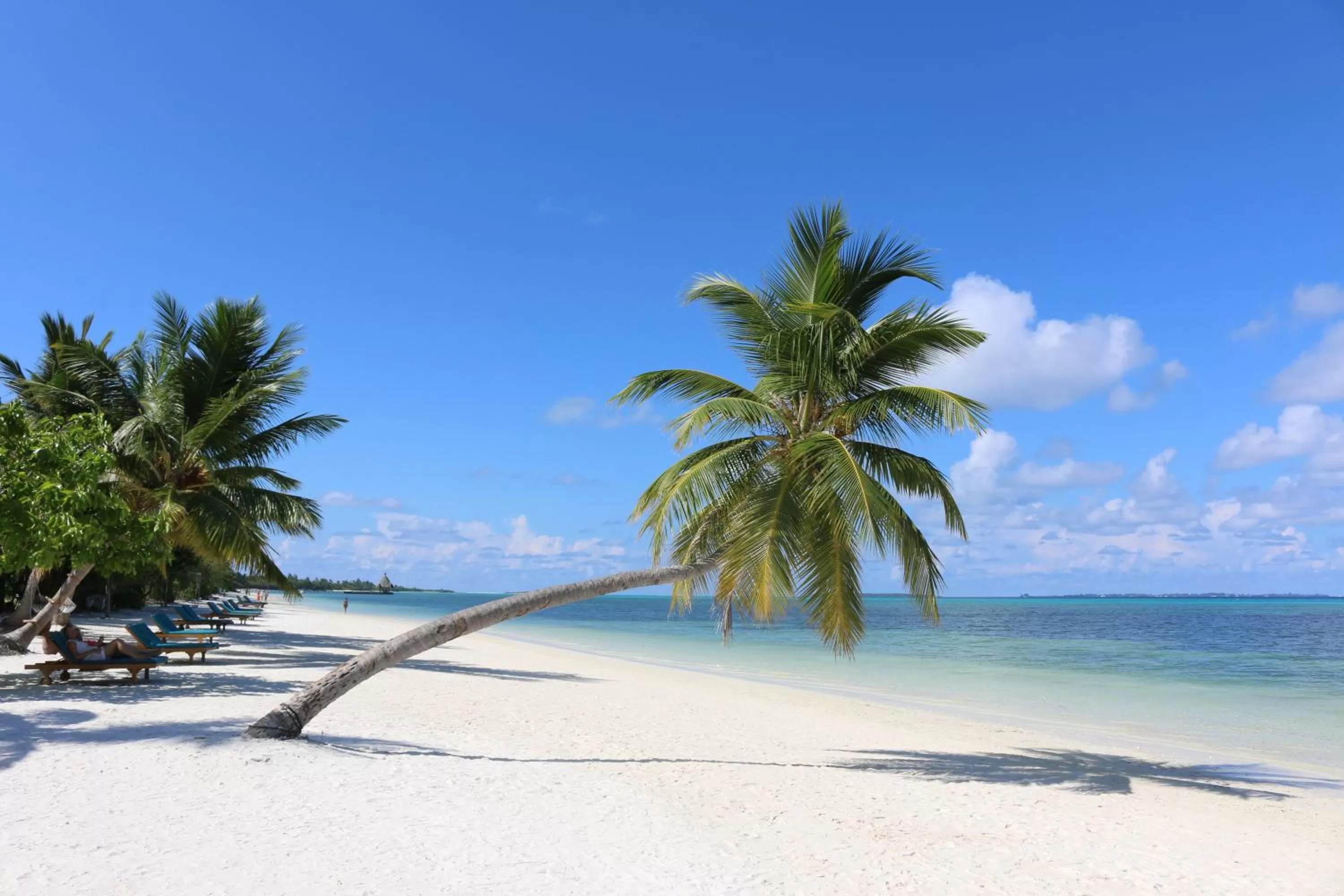 Beach in Canareef Resort Maldives