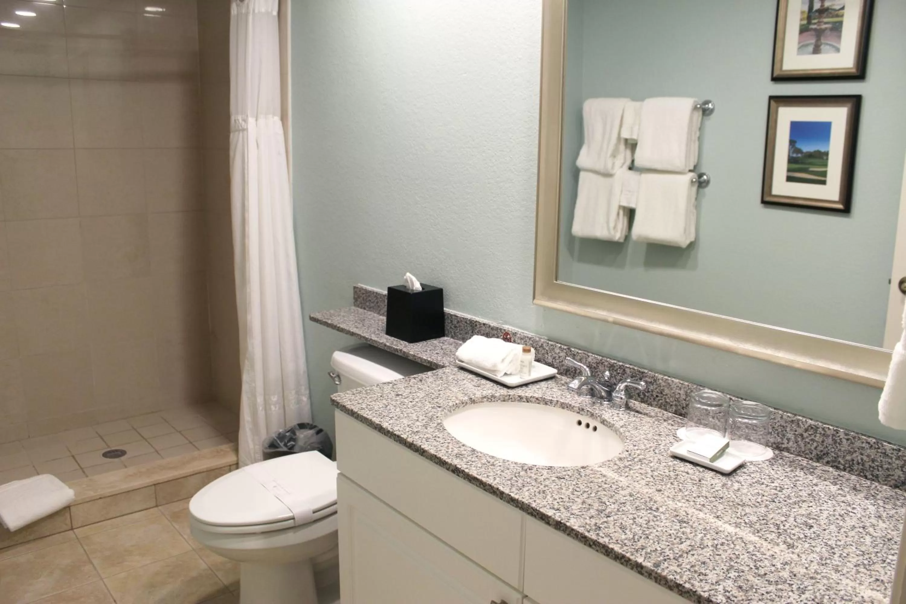 Bathroom in Innisbrook Resort