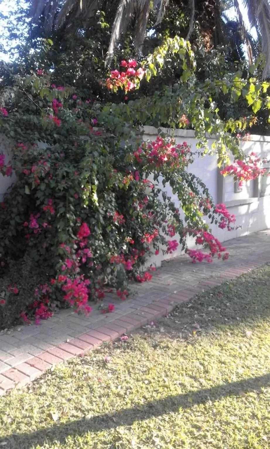 Facade/entrance, Garden in Poetry Guestrooms