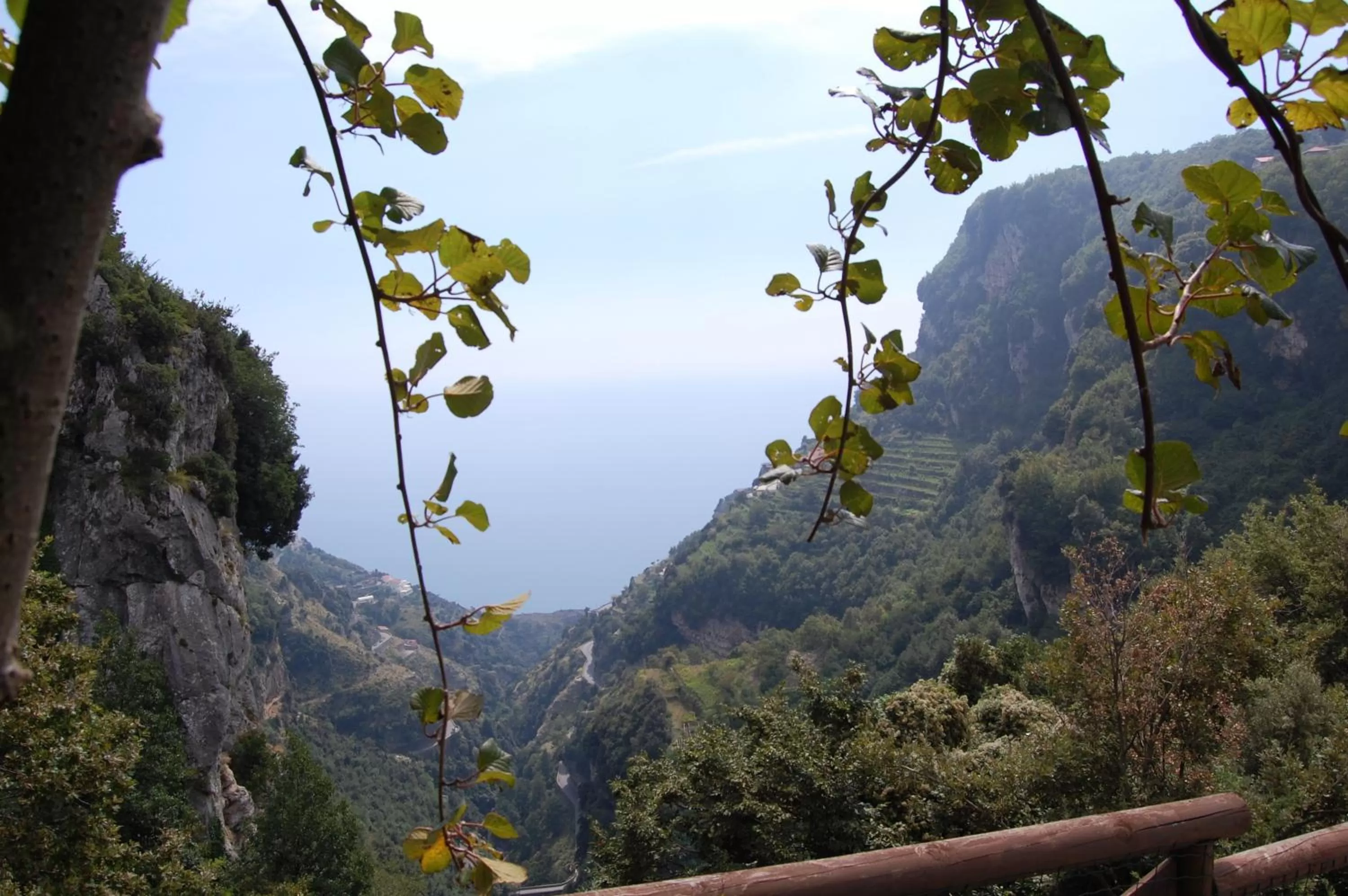 Bird's eye view in La Cicogna
