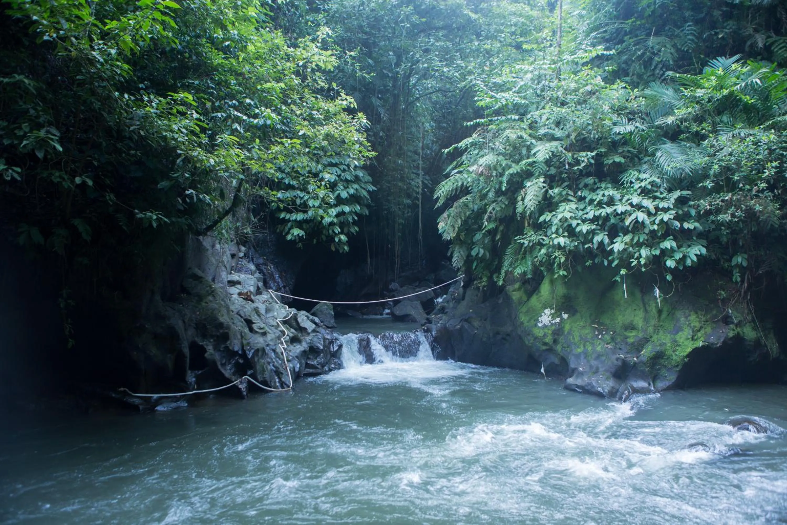 River view, Garden in Anahata Villas and Spa Resort