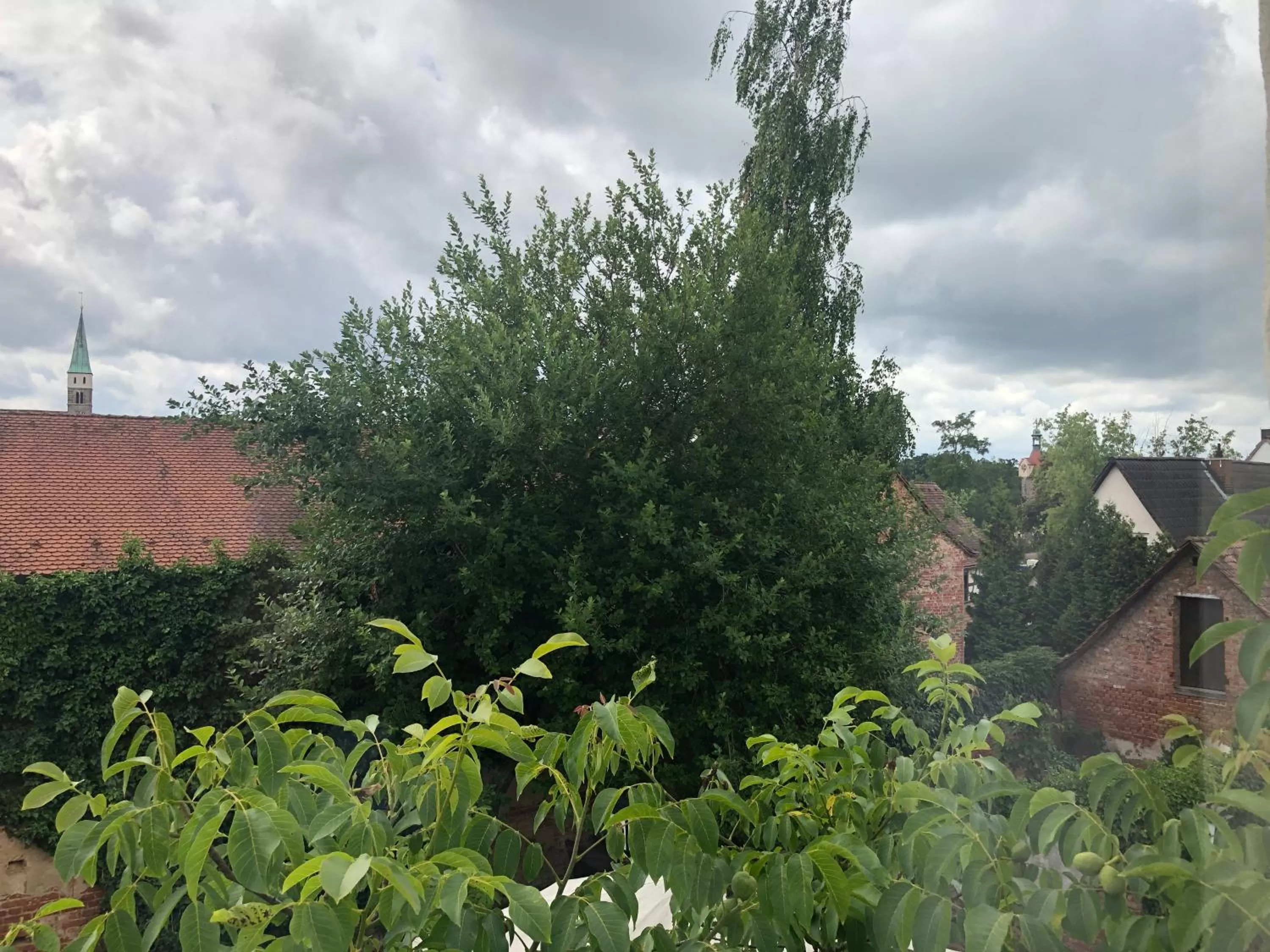 Hotel Zum Kastanienbaum