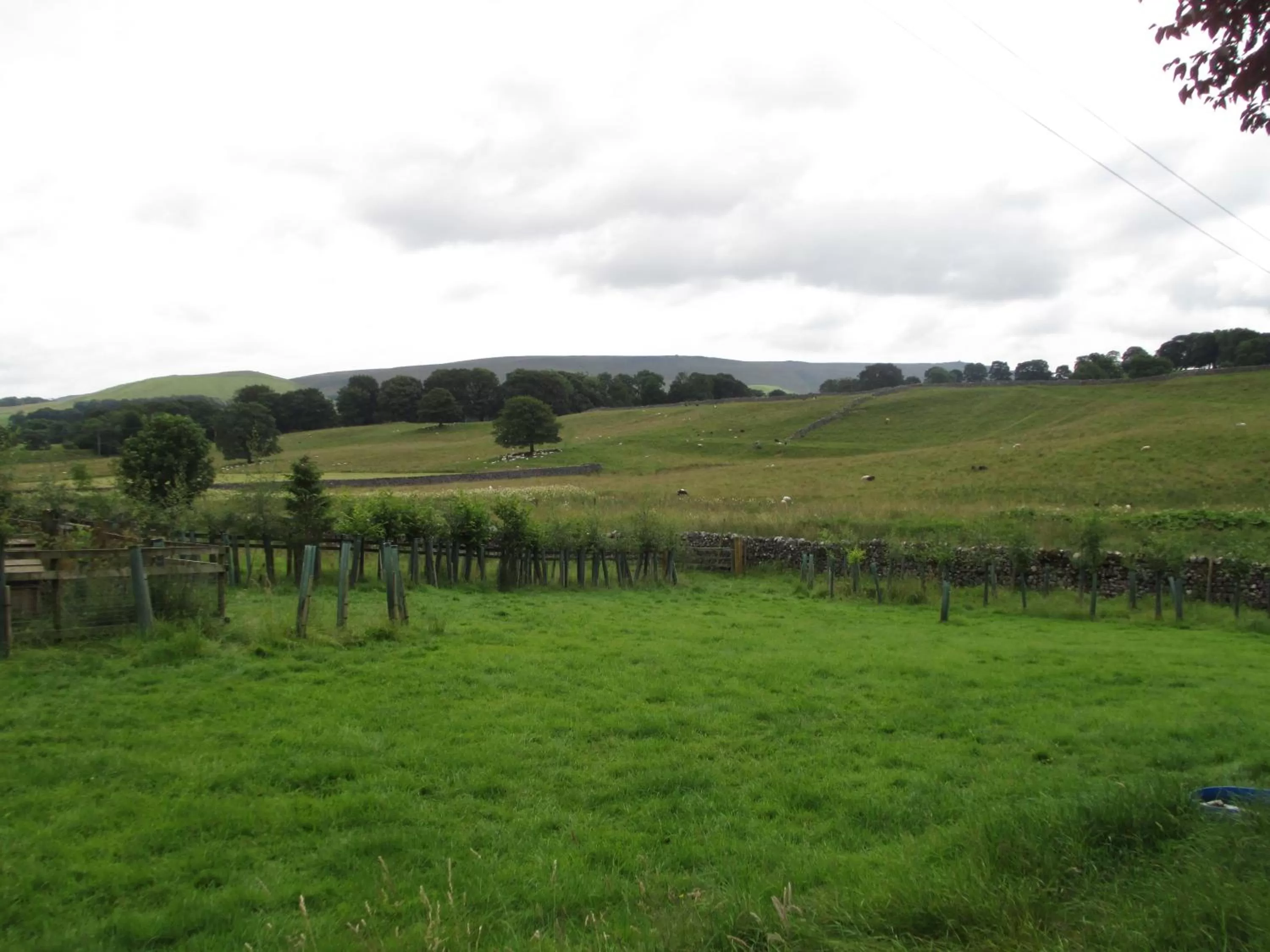 Property building in Bridge House