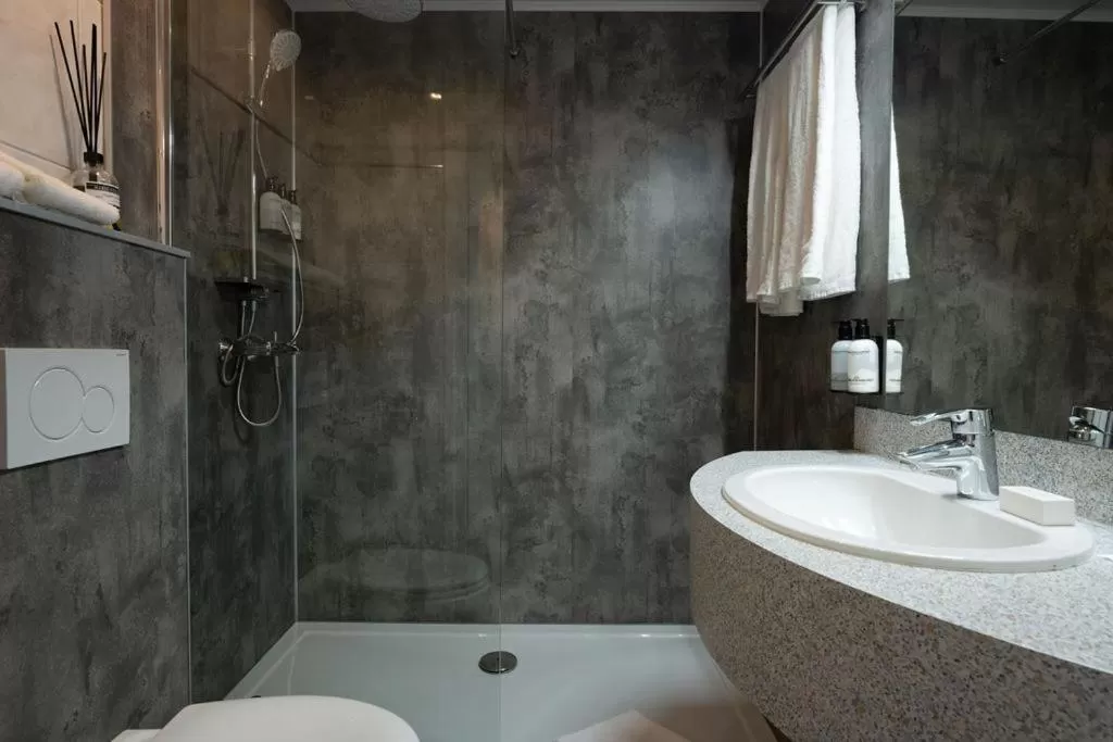 Bathroom in Boutique Hotel Slenaker Vallei - Buitengewoongenieten