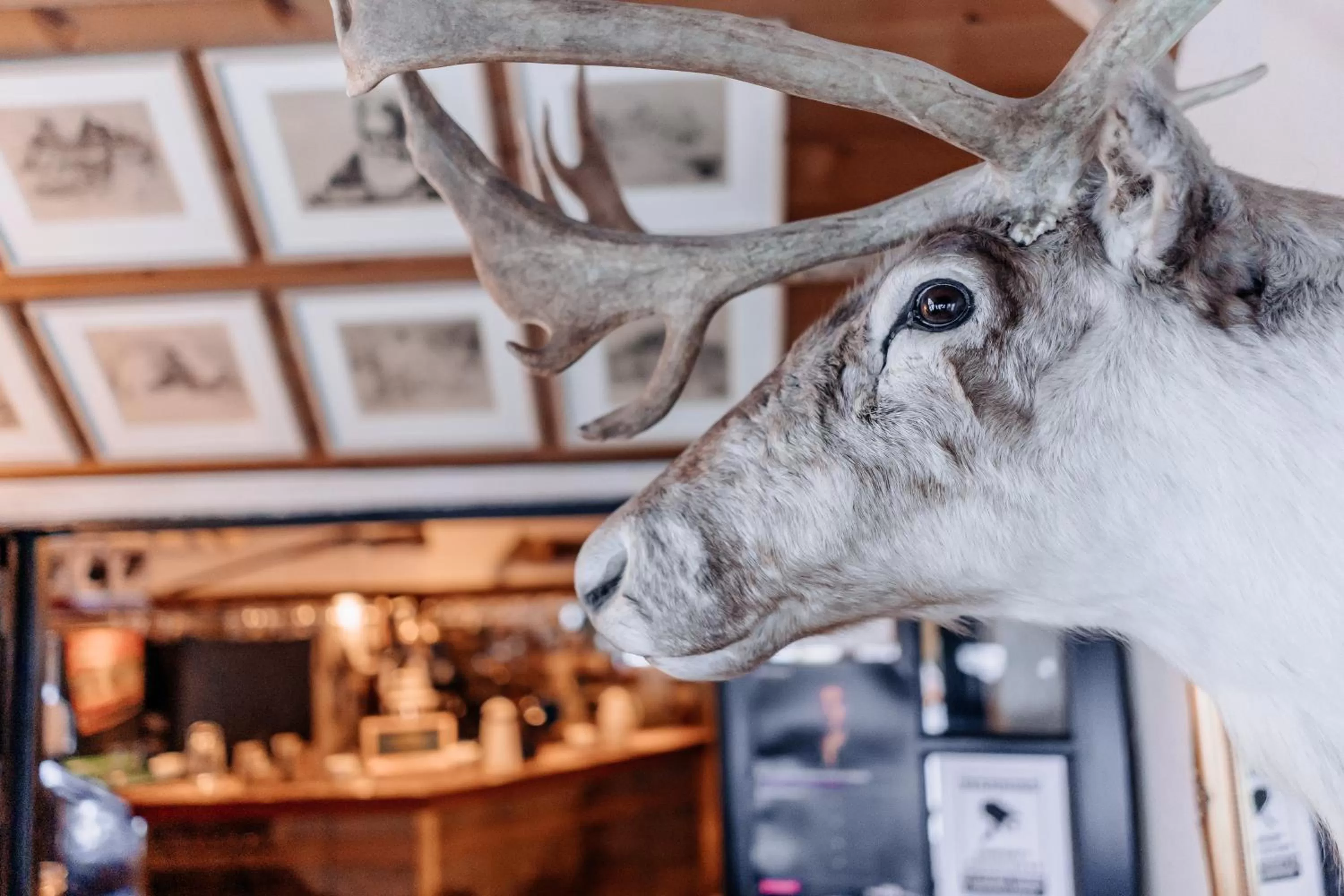 Restaurant/places to eat in Hotel Laxnes