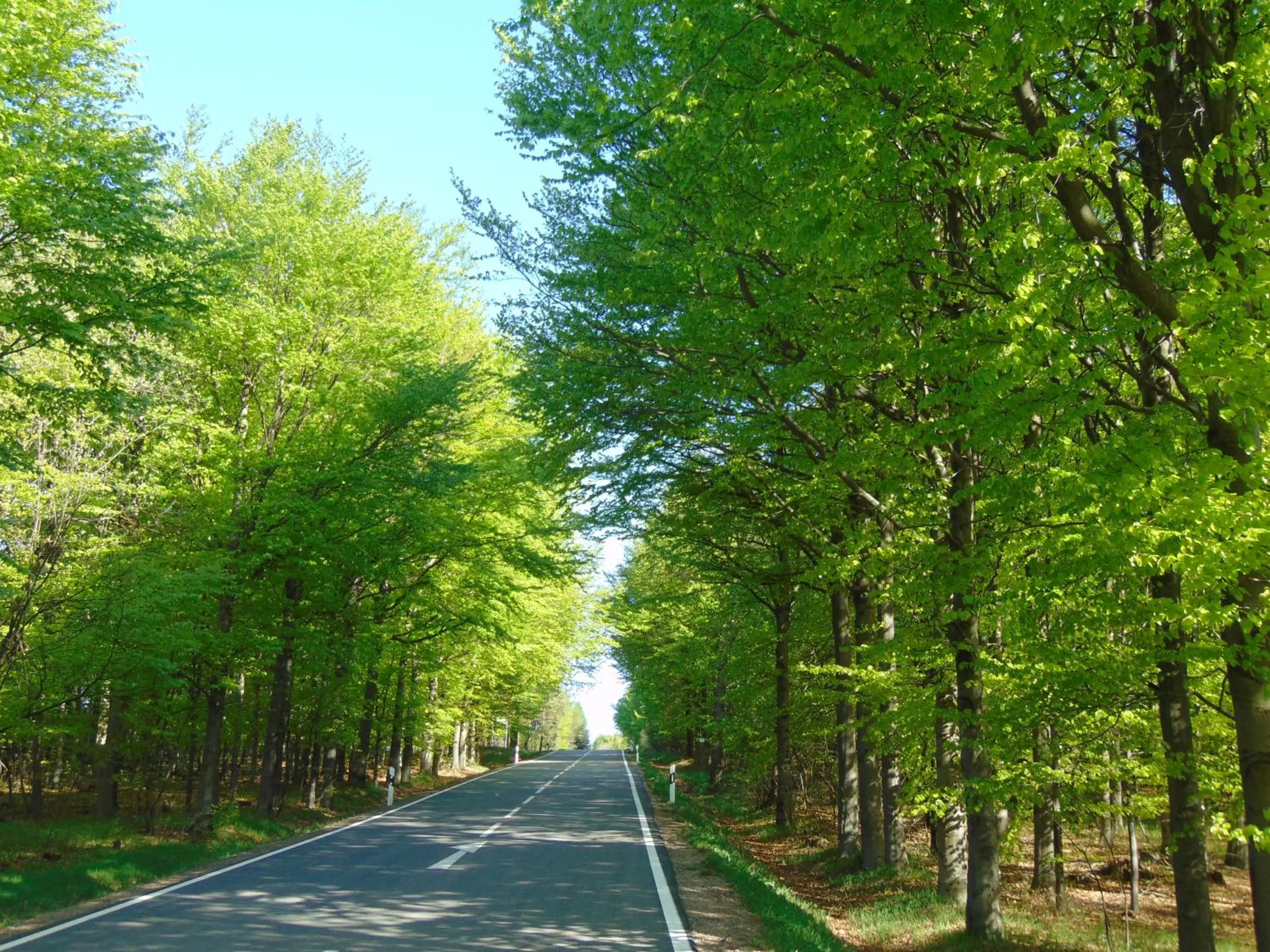 Cycling, Natural Landscape in Waldgasthof Bad Einsiedel