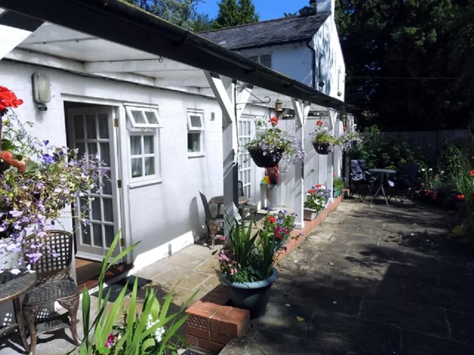 Property Building in Otters Green