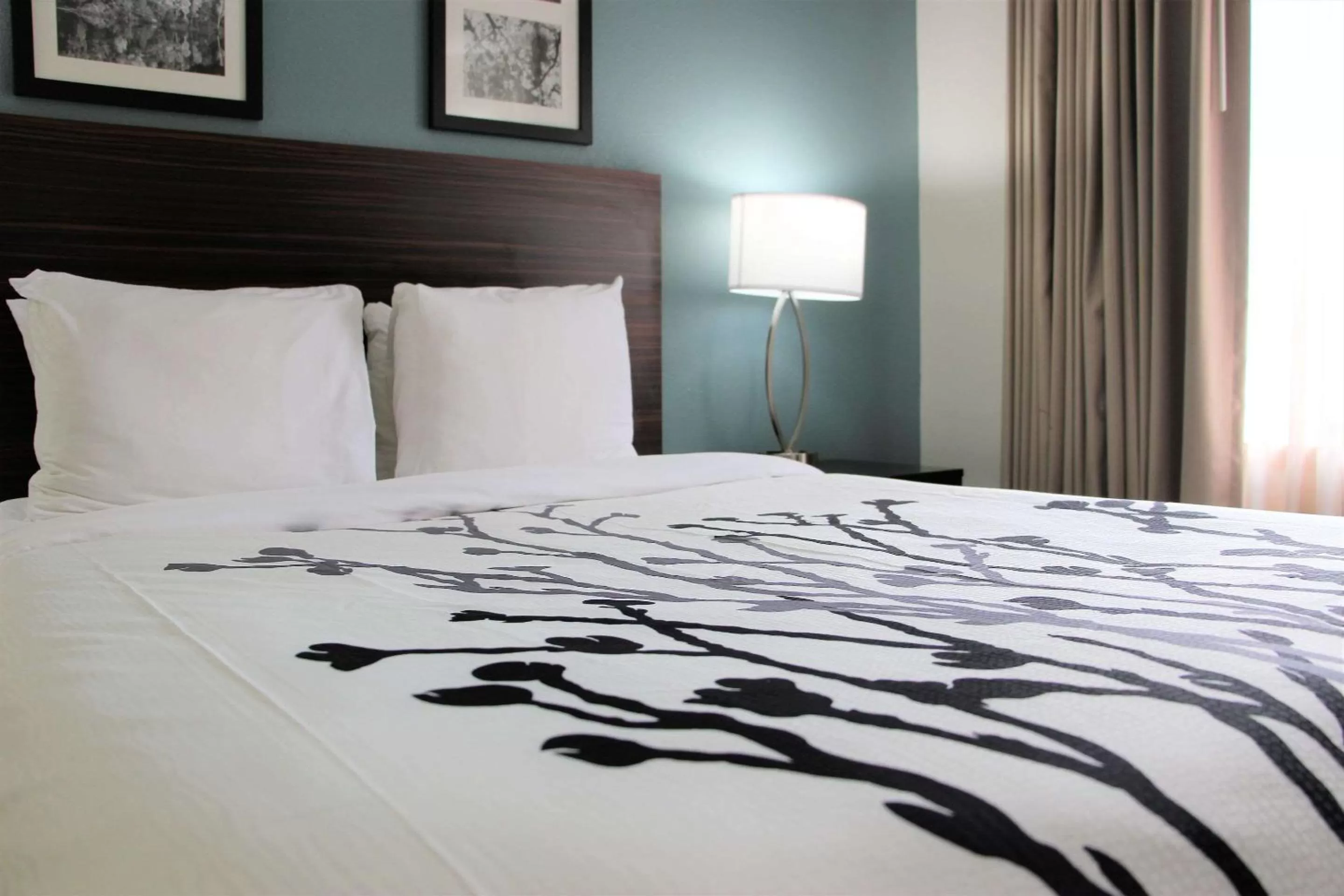 Photo of the whole room, Bed in Sleep Inn Chattanooga Hamilton Place