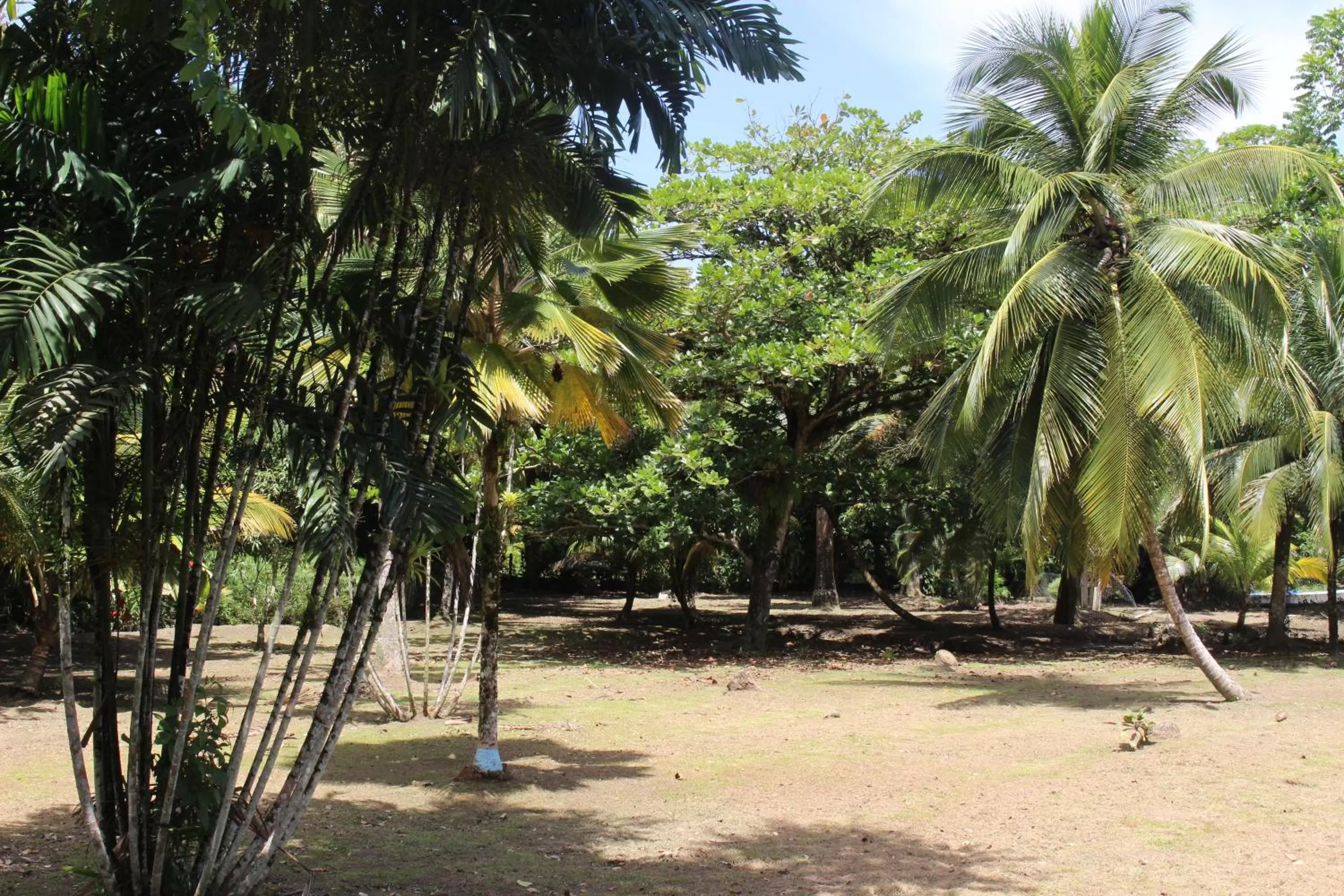 Garden view, Beach in Acajou Hotel