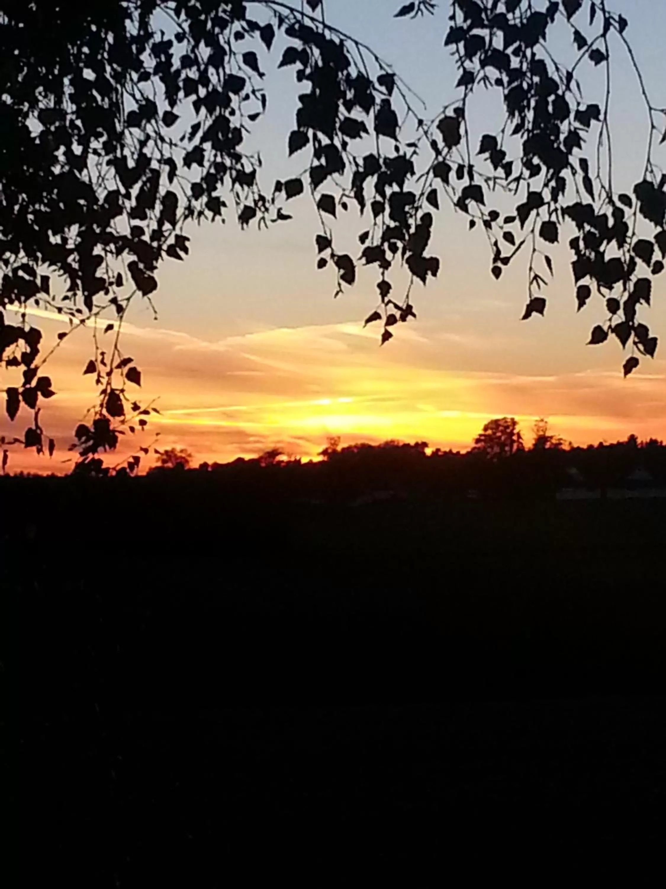Natural landscape in Roskilde B&B
