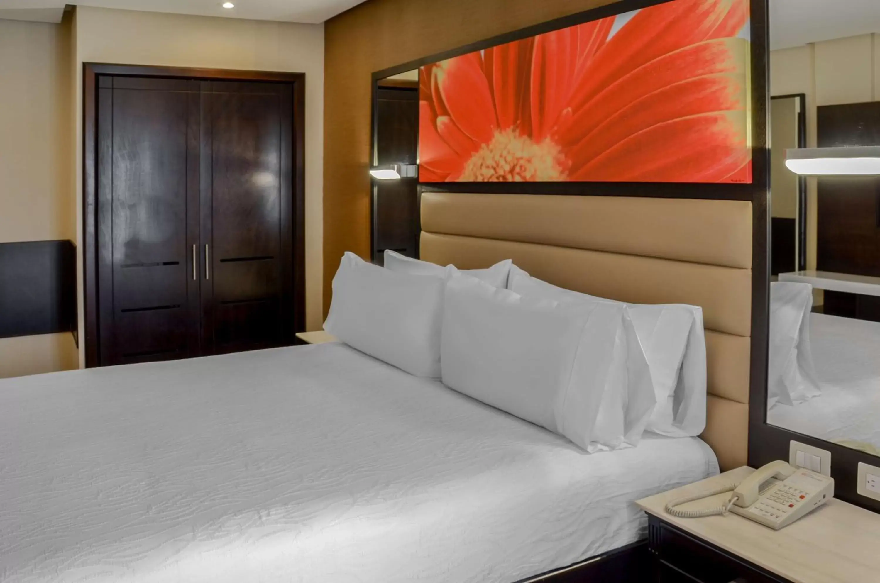 King Room in Hilton Garden Inn Guatemala City King Room in Hilton Garden Inn Guatemala City