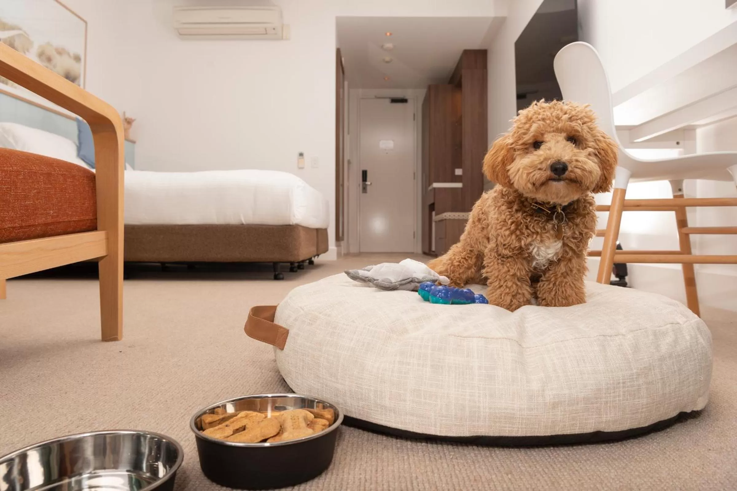 Photo of the whole room, Bed in The Sands Torquay