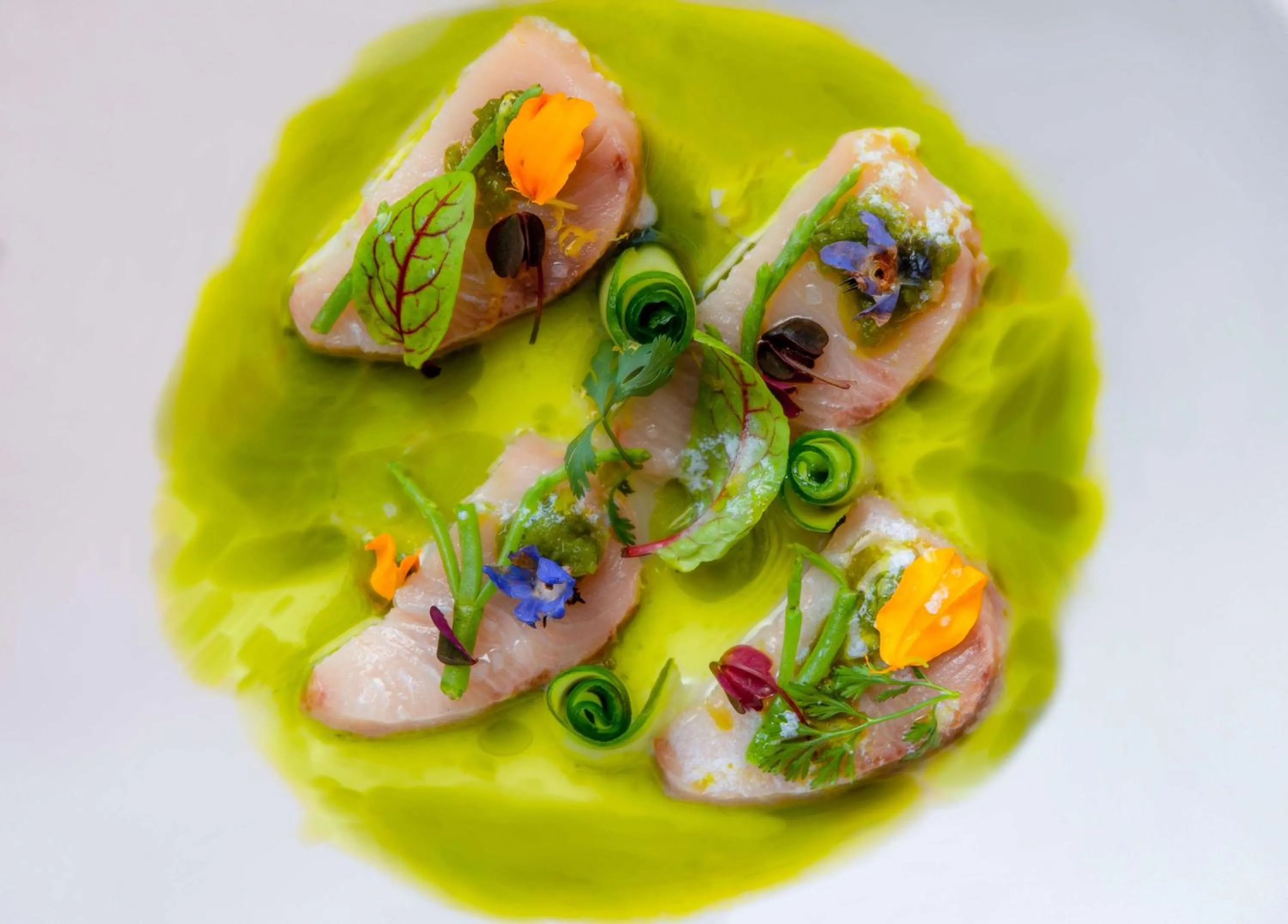 Restaurant/places to eat in Waldorf Astoria Riviera Maya