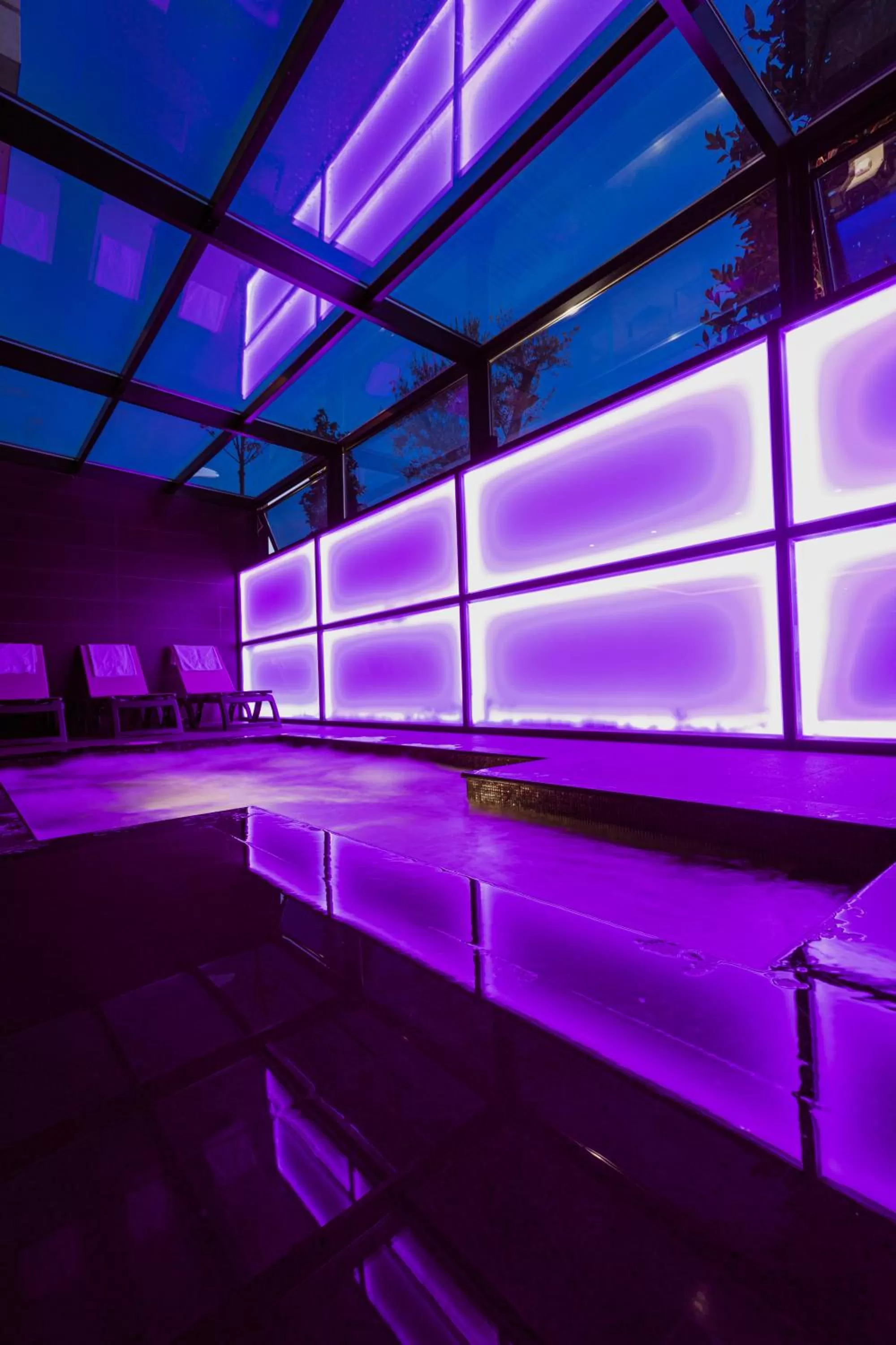 Spa and wellness centre/facilities, Swimming Pool in Privilege Hotel & Spa