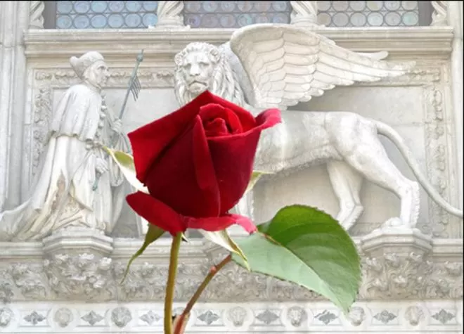 Other in Ca' Maddalena