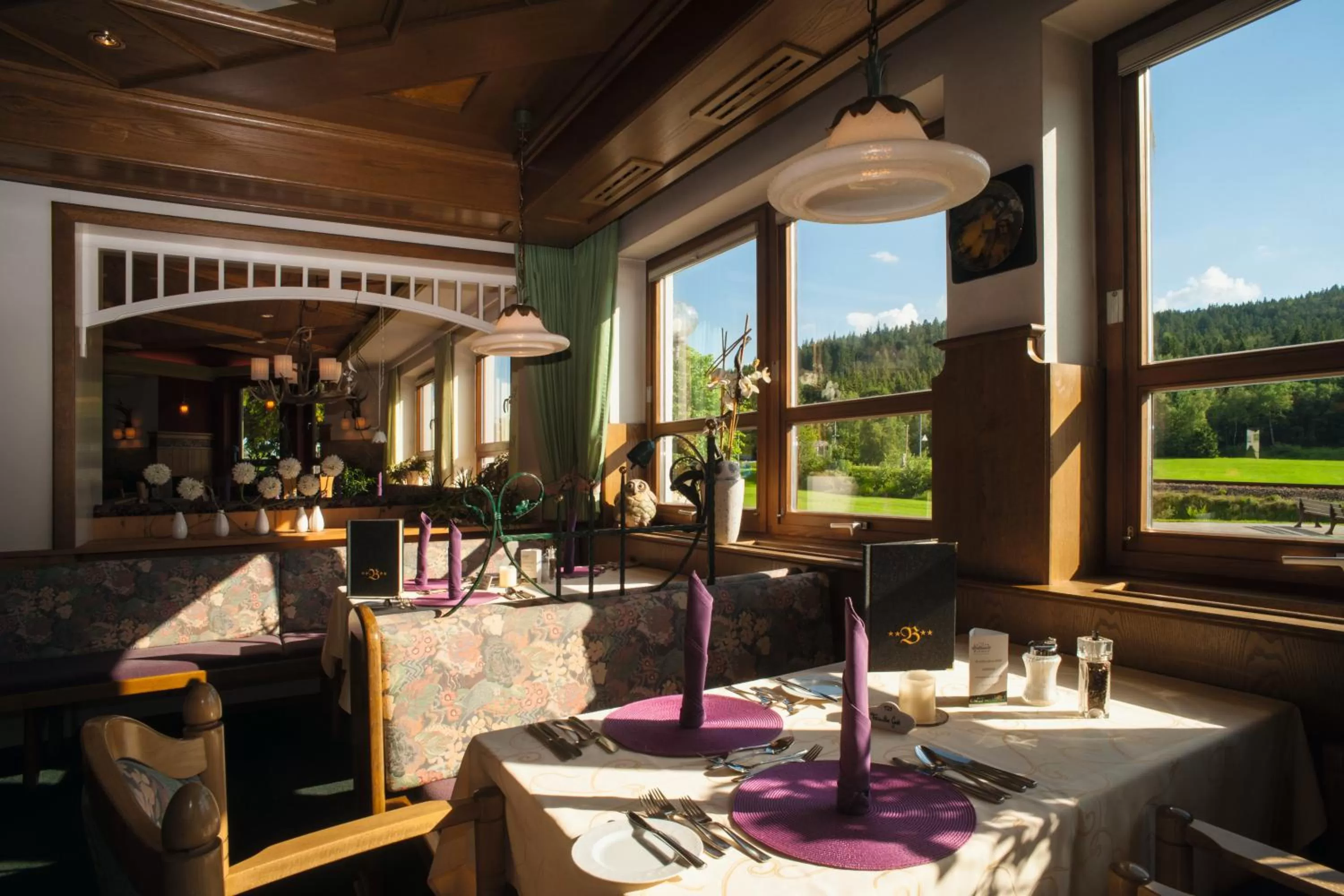 Spa and wellness centre/facilities in Wellness- und Vitalhotel Böhmhof