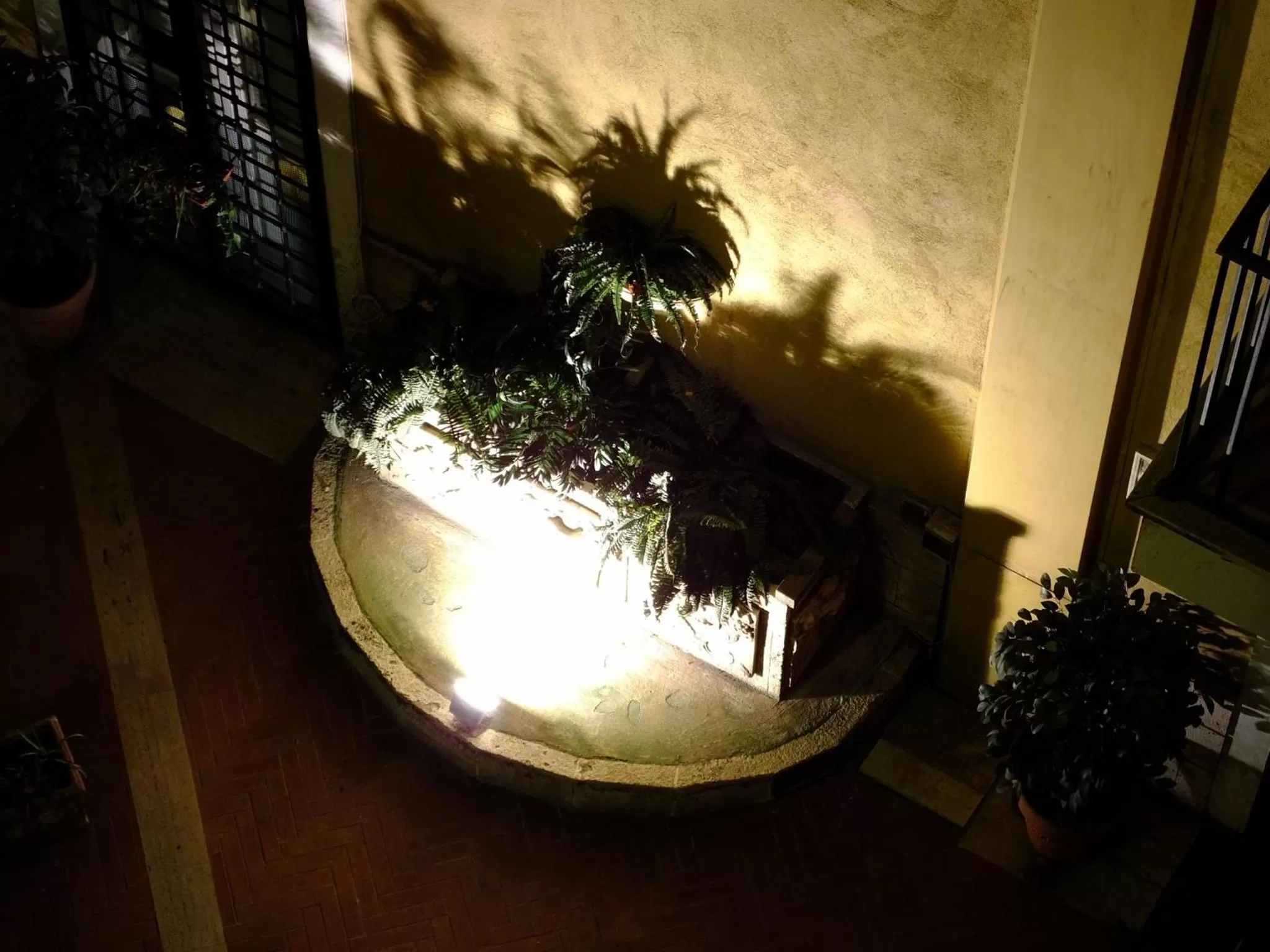 Garden in Zefiro Home