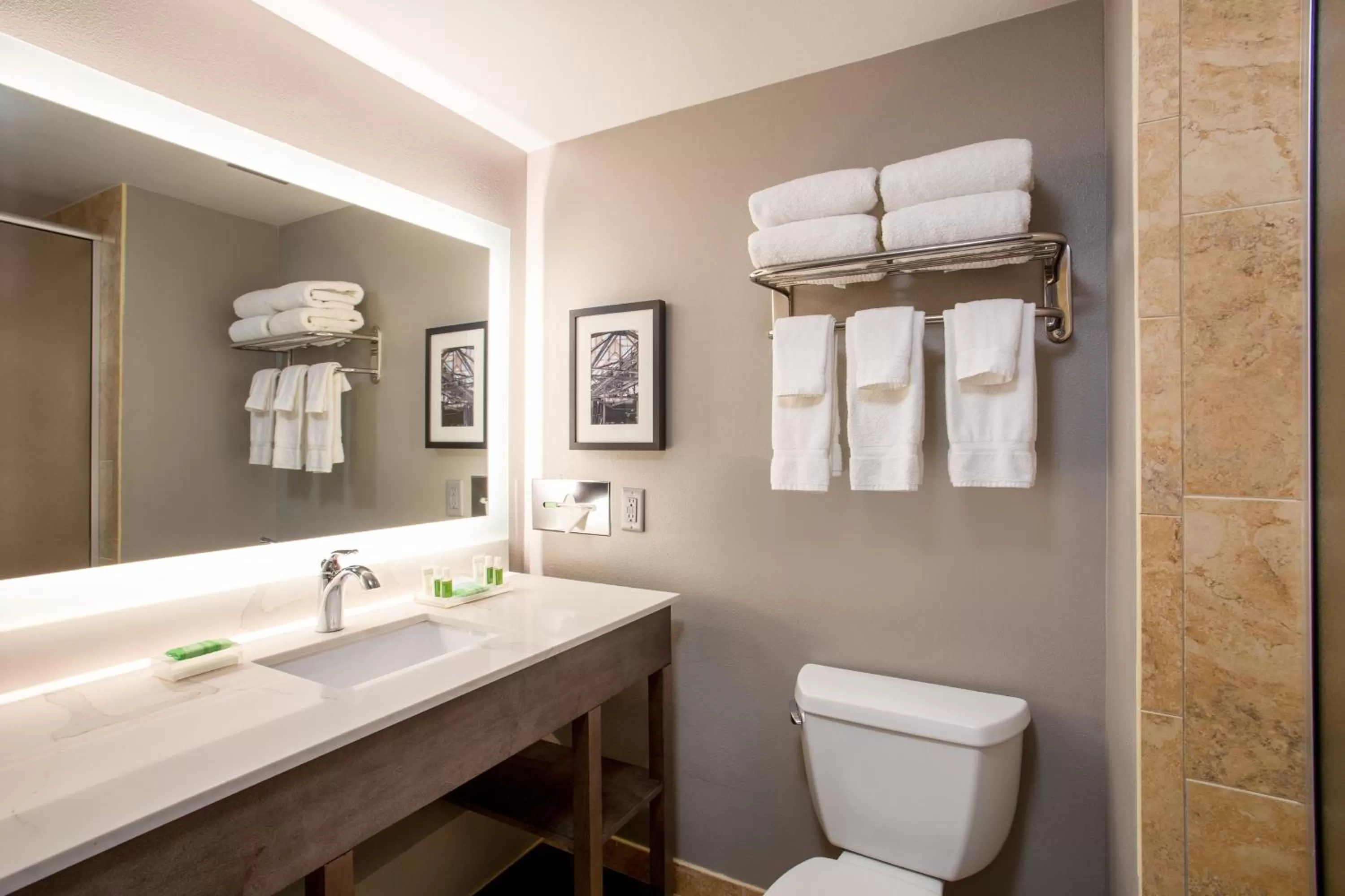 Bathroom in Holiday Inn Valdosta Conference Center by IHG