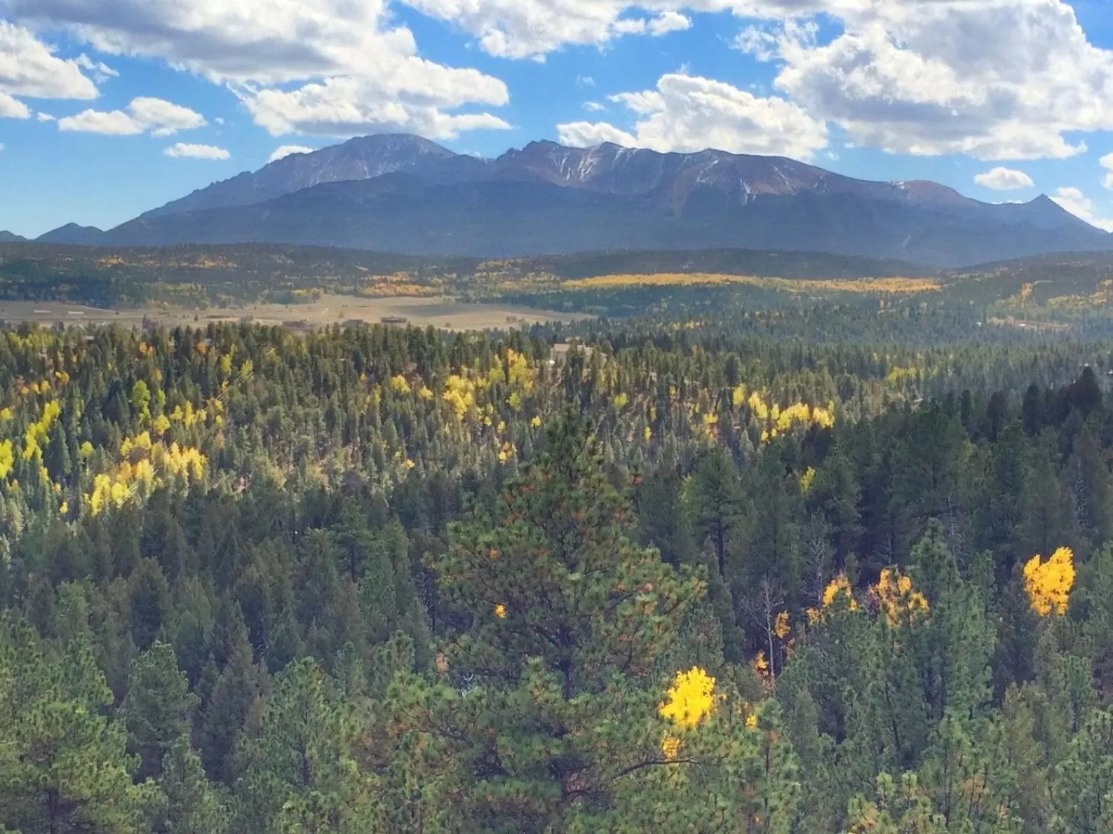 Property building in Pikes Peak Paradise Bed and Breakfast