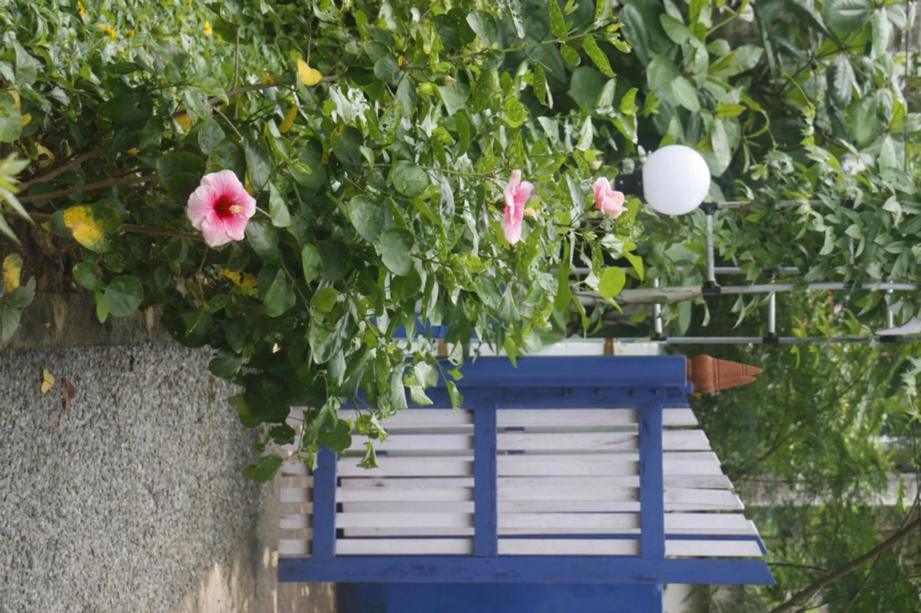 Other in Anitha's Garden Stay