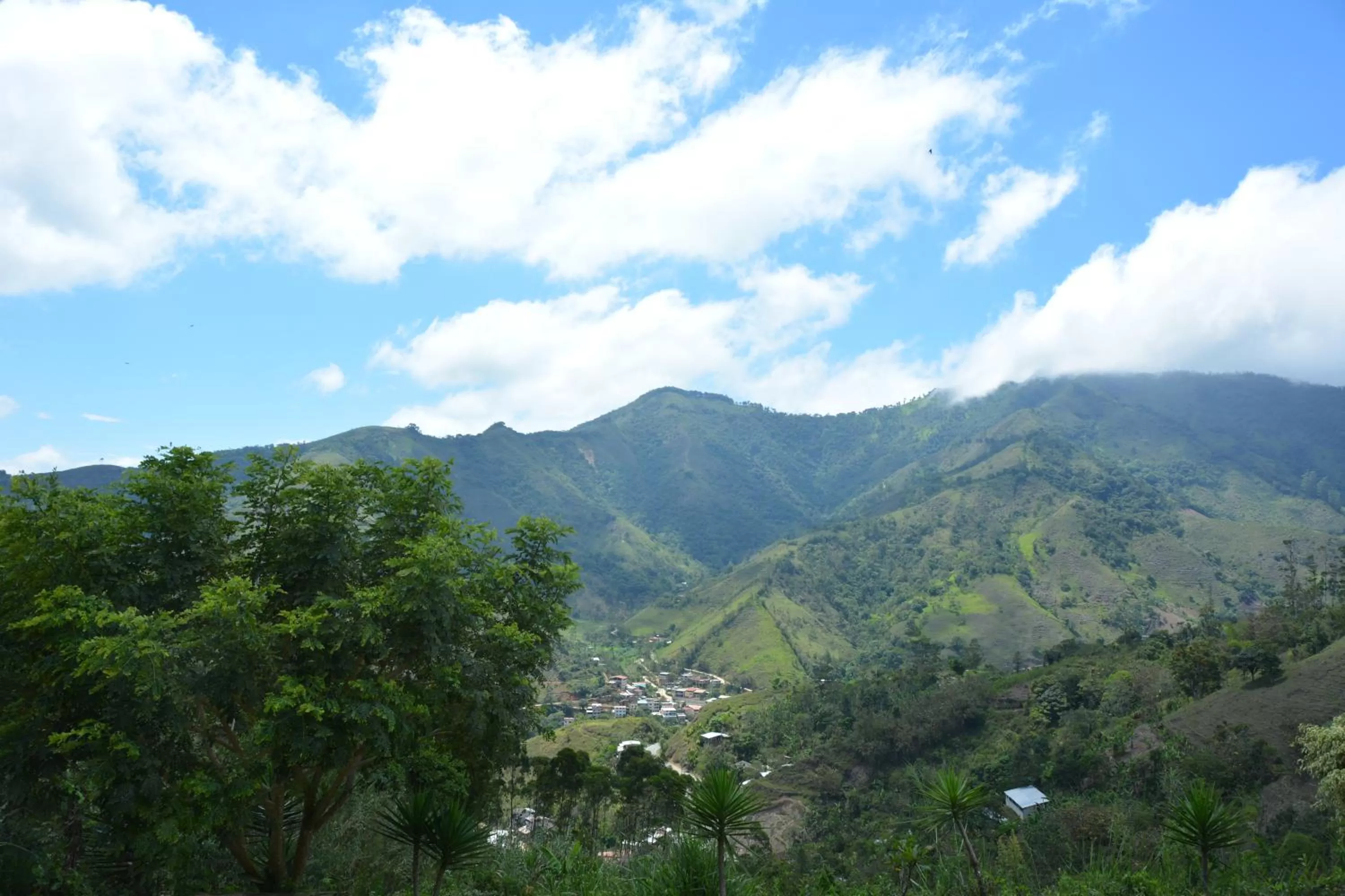 City view, Mountain View in Hosteria Florecer