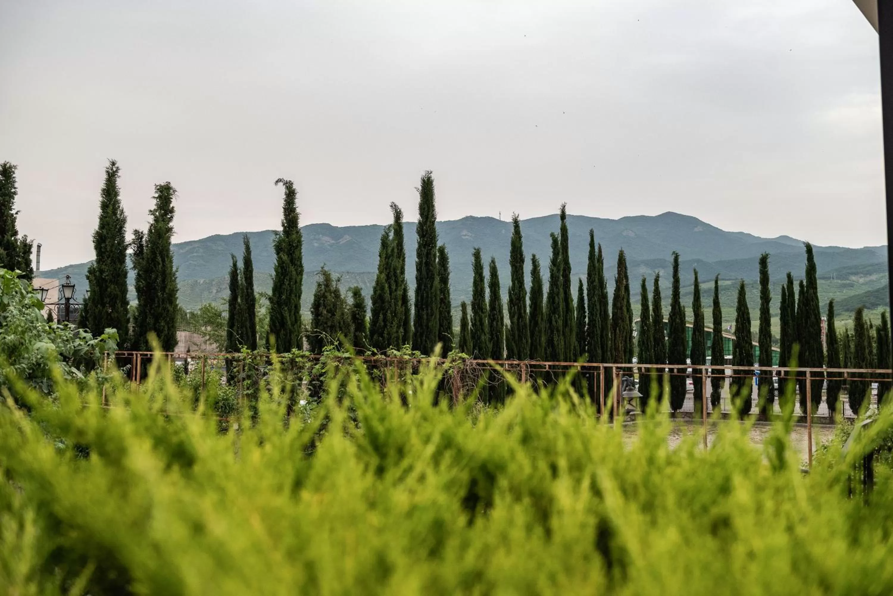 Natural Landscape in Hedi