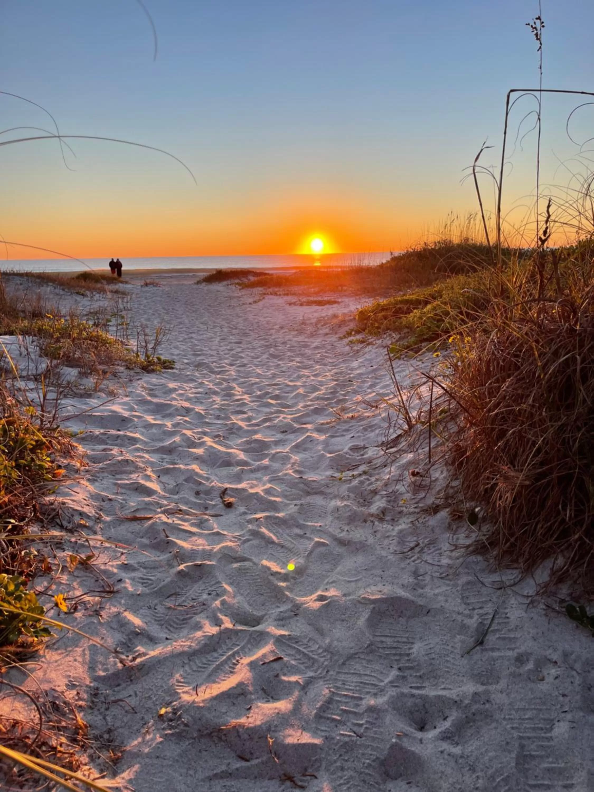 Surf Studio Beach Resort