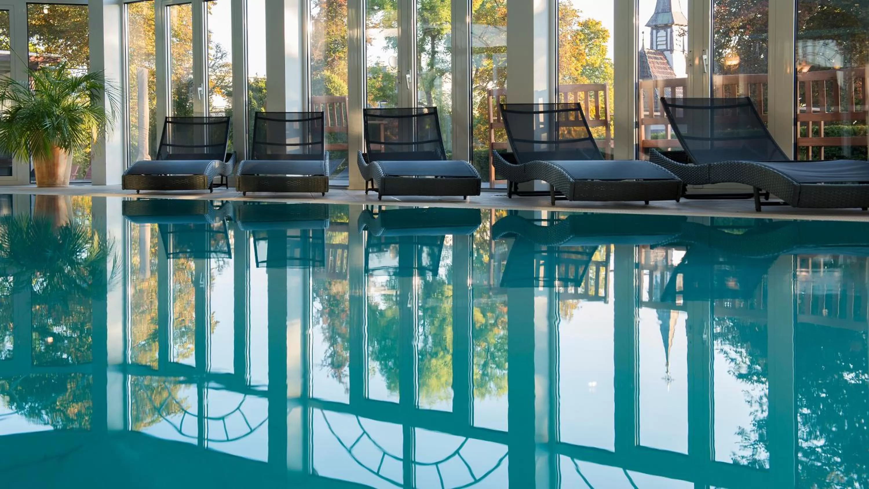 Swimming pool in Das Palmenwald Schwarzwaldhof, BW Signature Collection