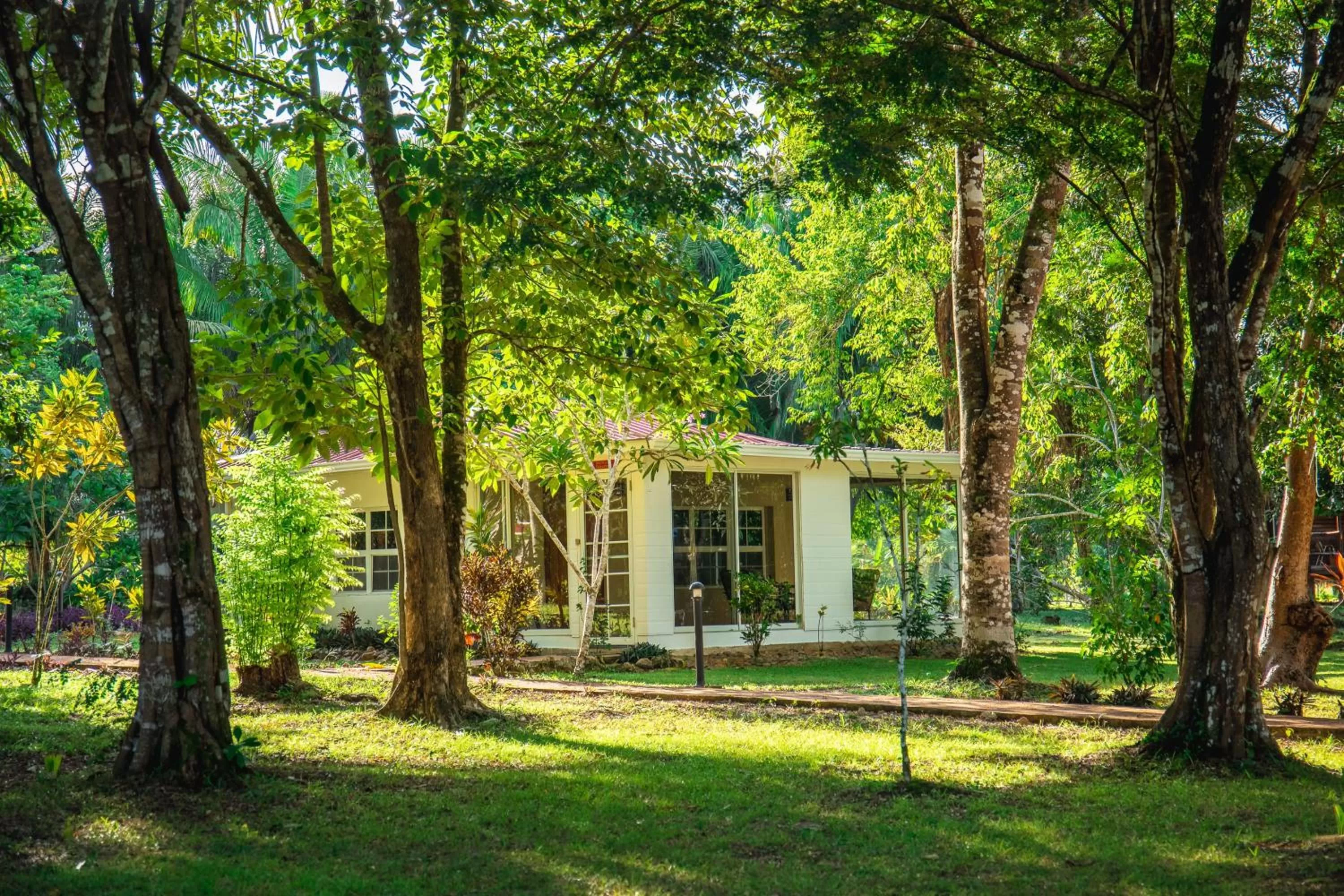 Other in KikiWitz Resort