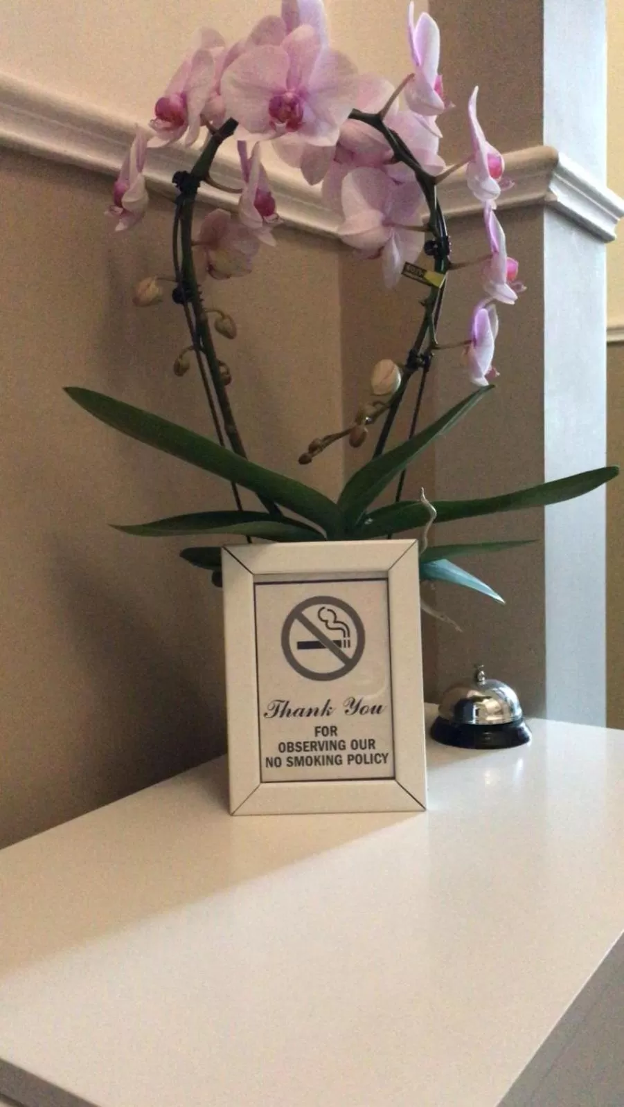 Logo/Certificate/Sign in My Guest in Florence