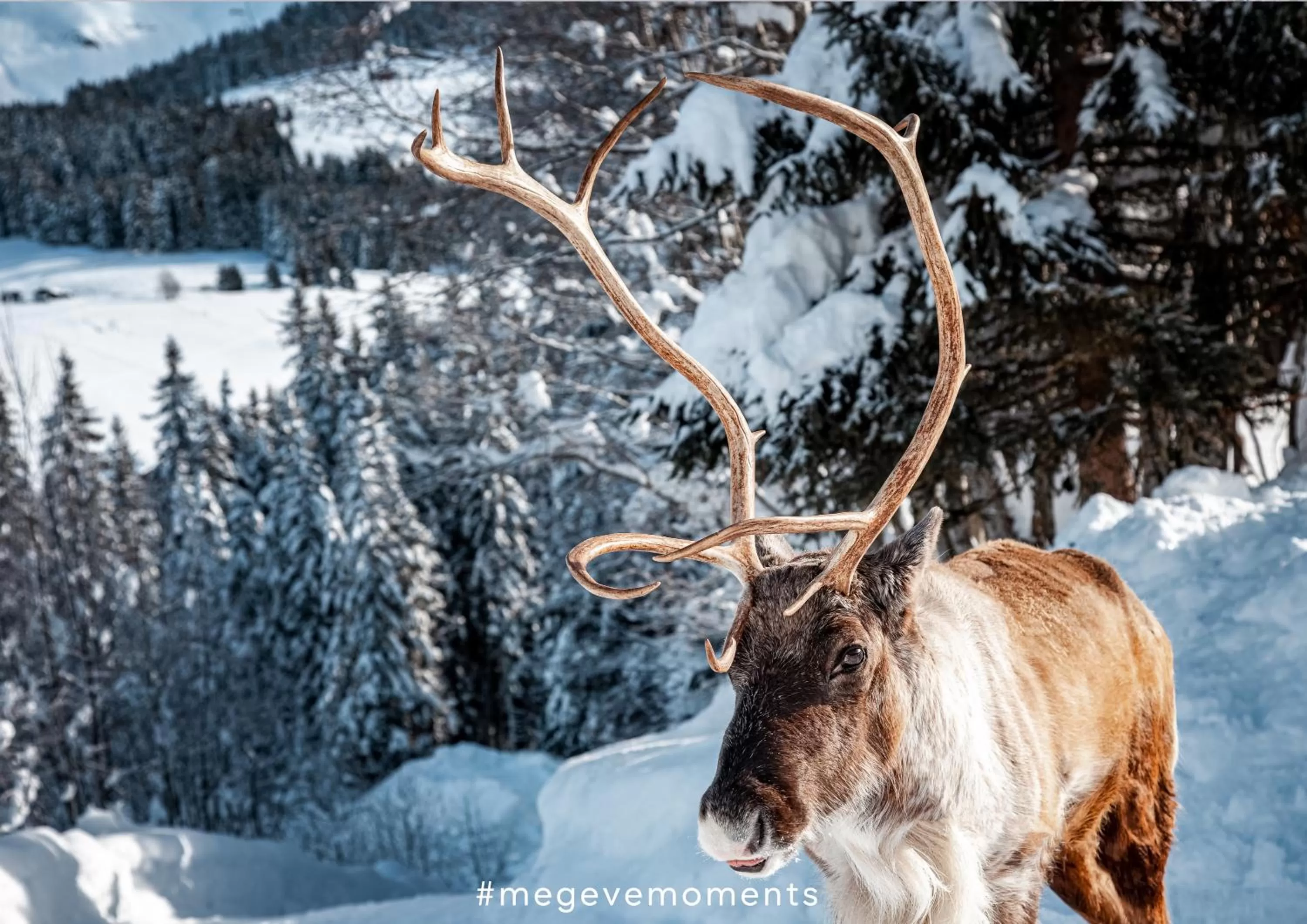 Activities in Hôtel L'Arboisie