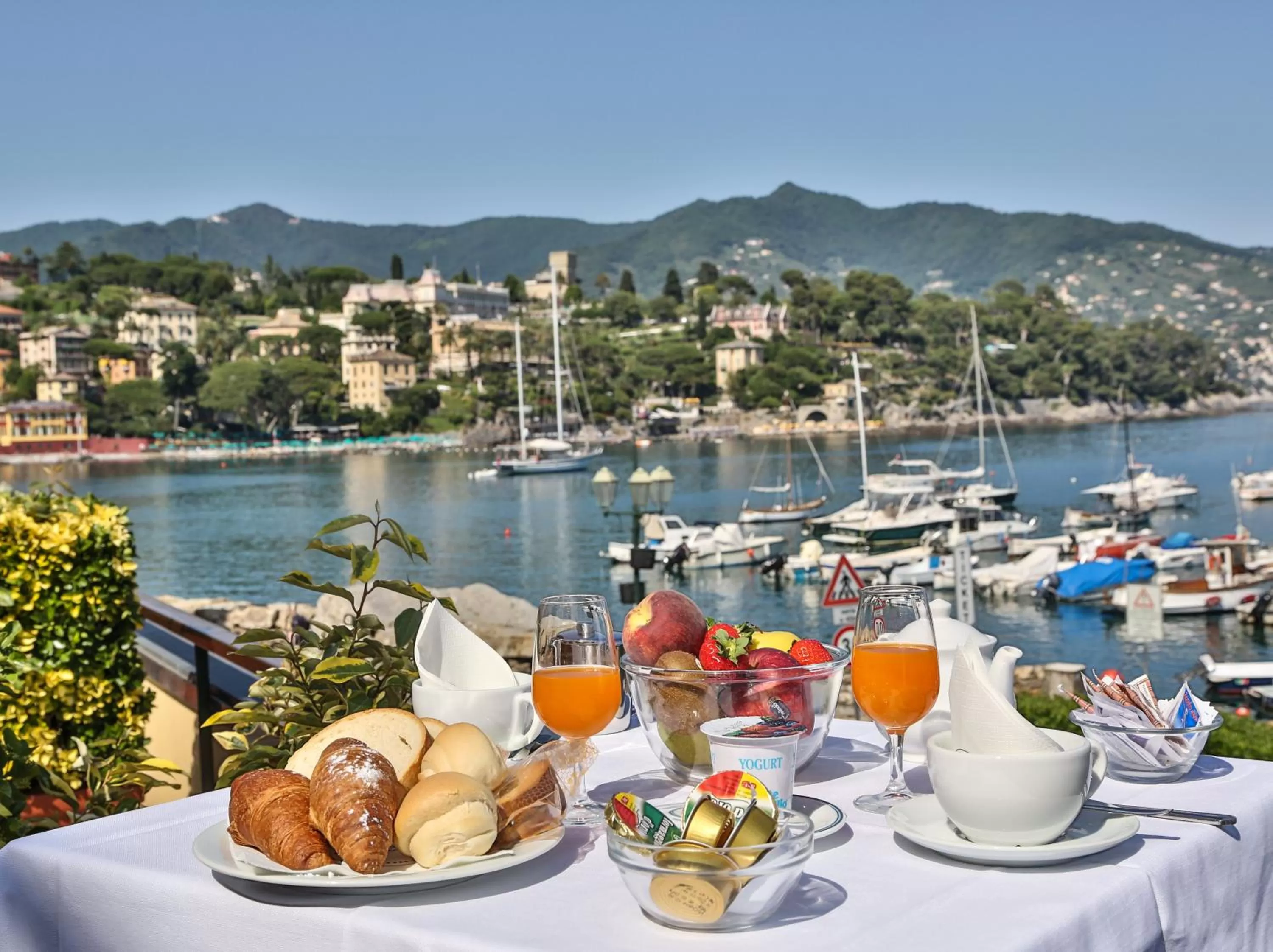 Patio in Hotel Laurin