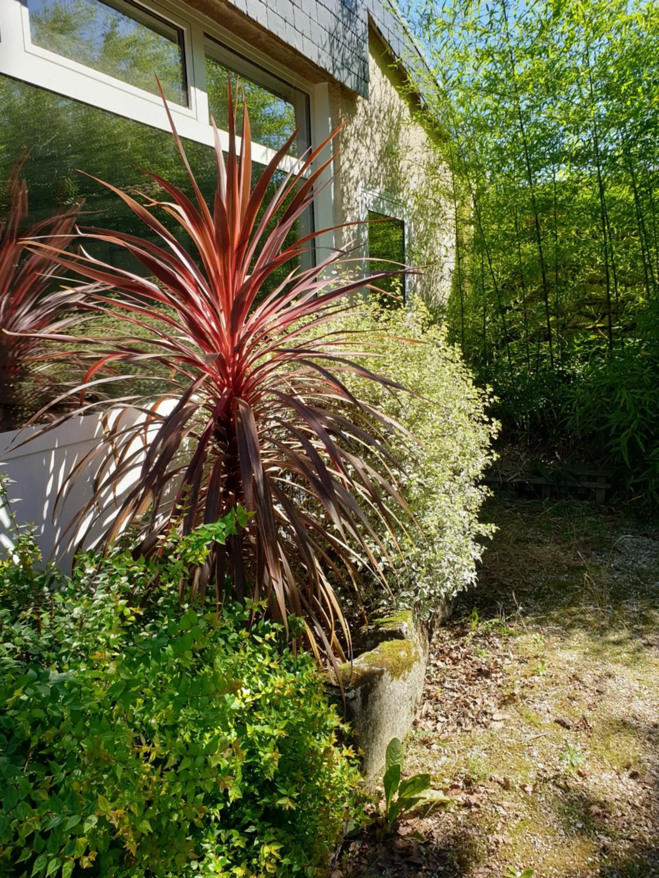Garden in Hôtel Le Rohan Charme et Caractère