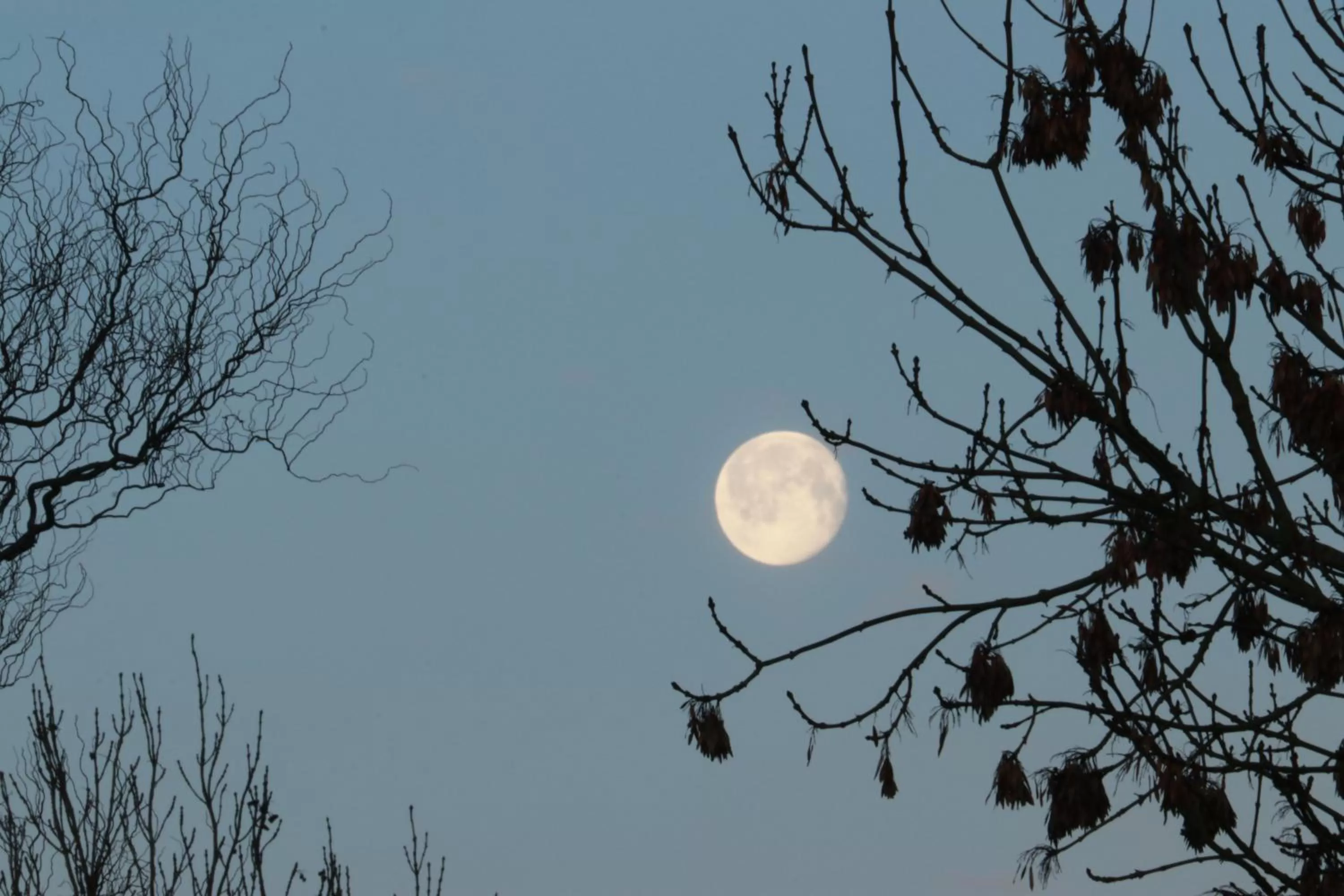 View (from property/room) in Harlingen Staete B&B Boutique hotel