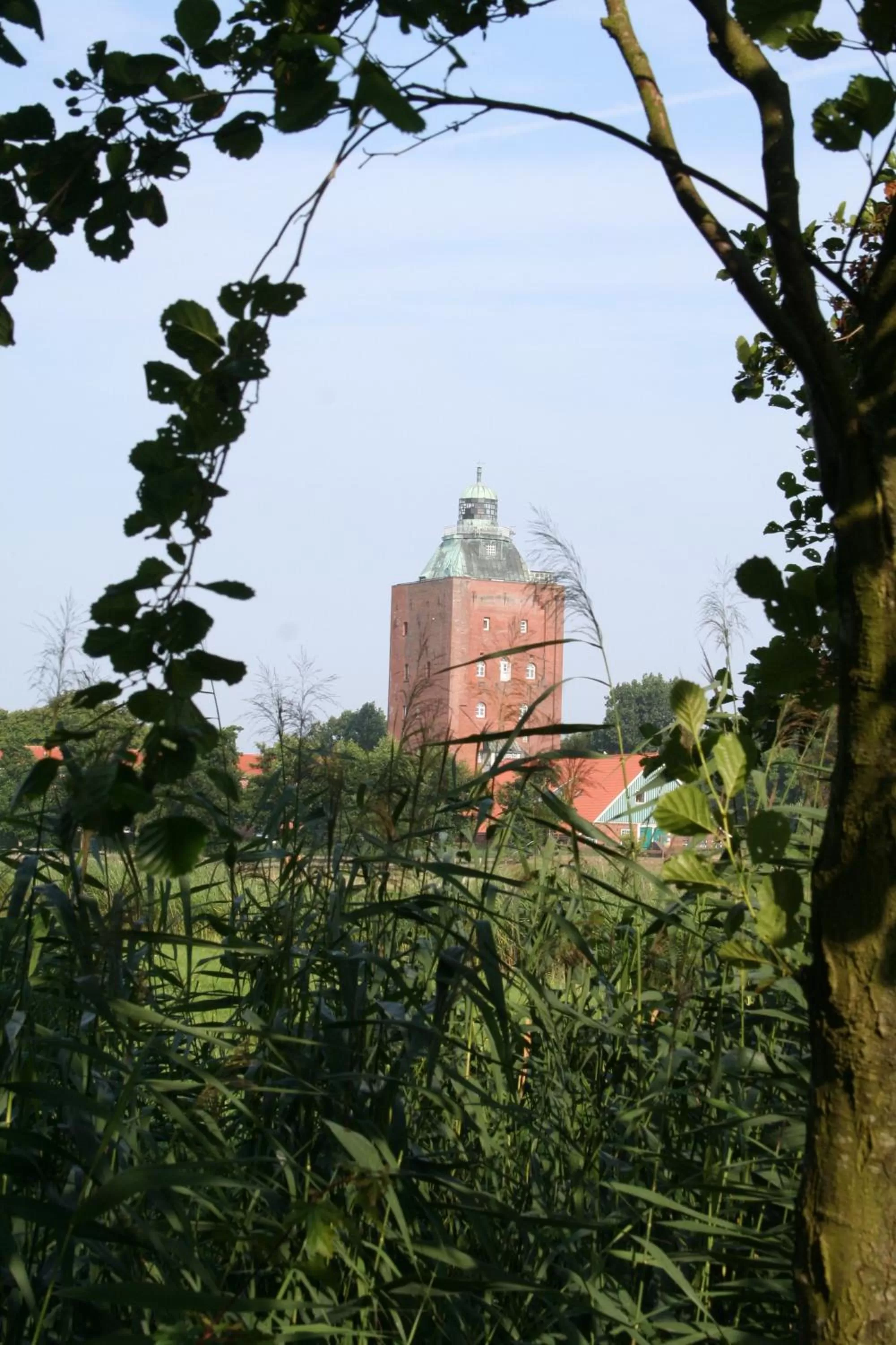 Area and facilities in Aparthotel Am Meer