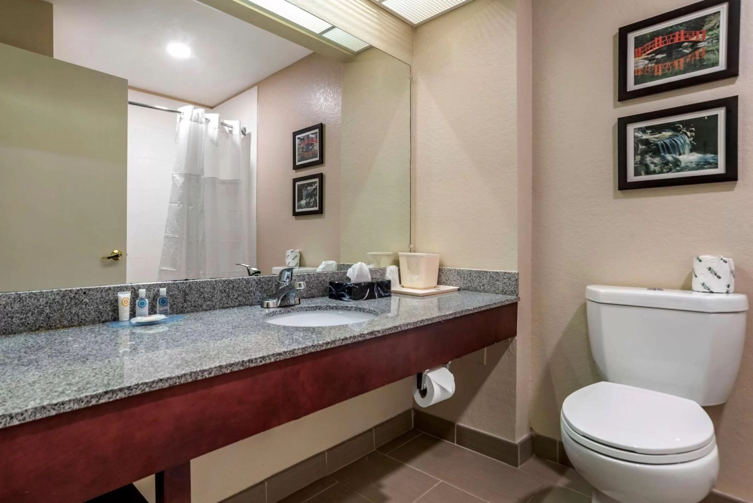 Bathroom in Comfort Inn Birmingham - Irondale