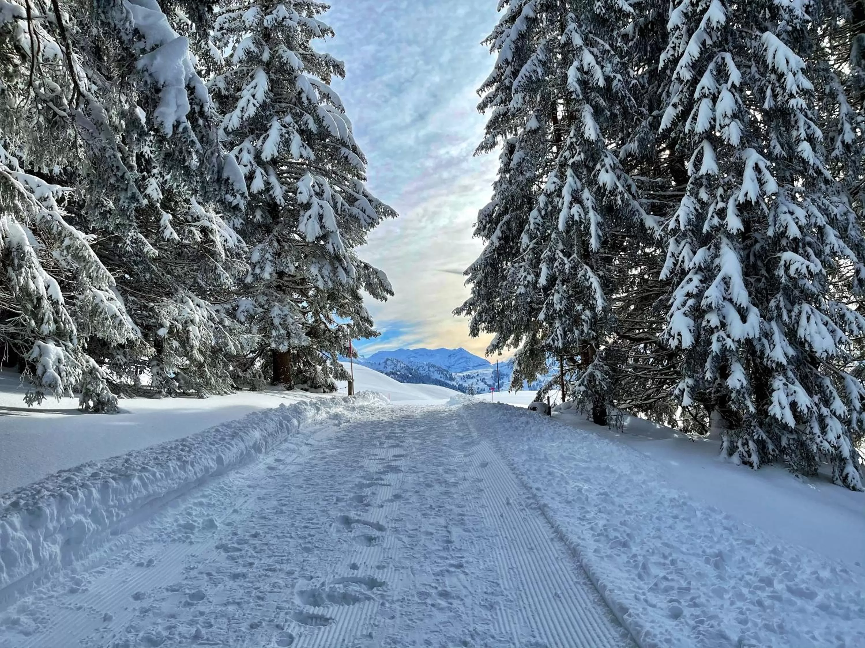 Natural landscape in ERMITAGE Wellness- & Spa-Hotel