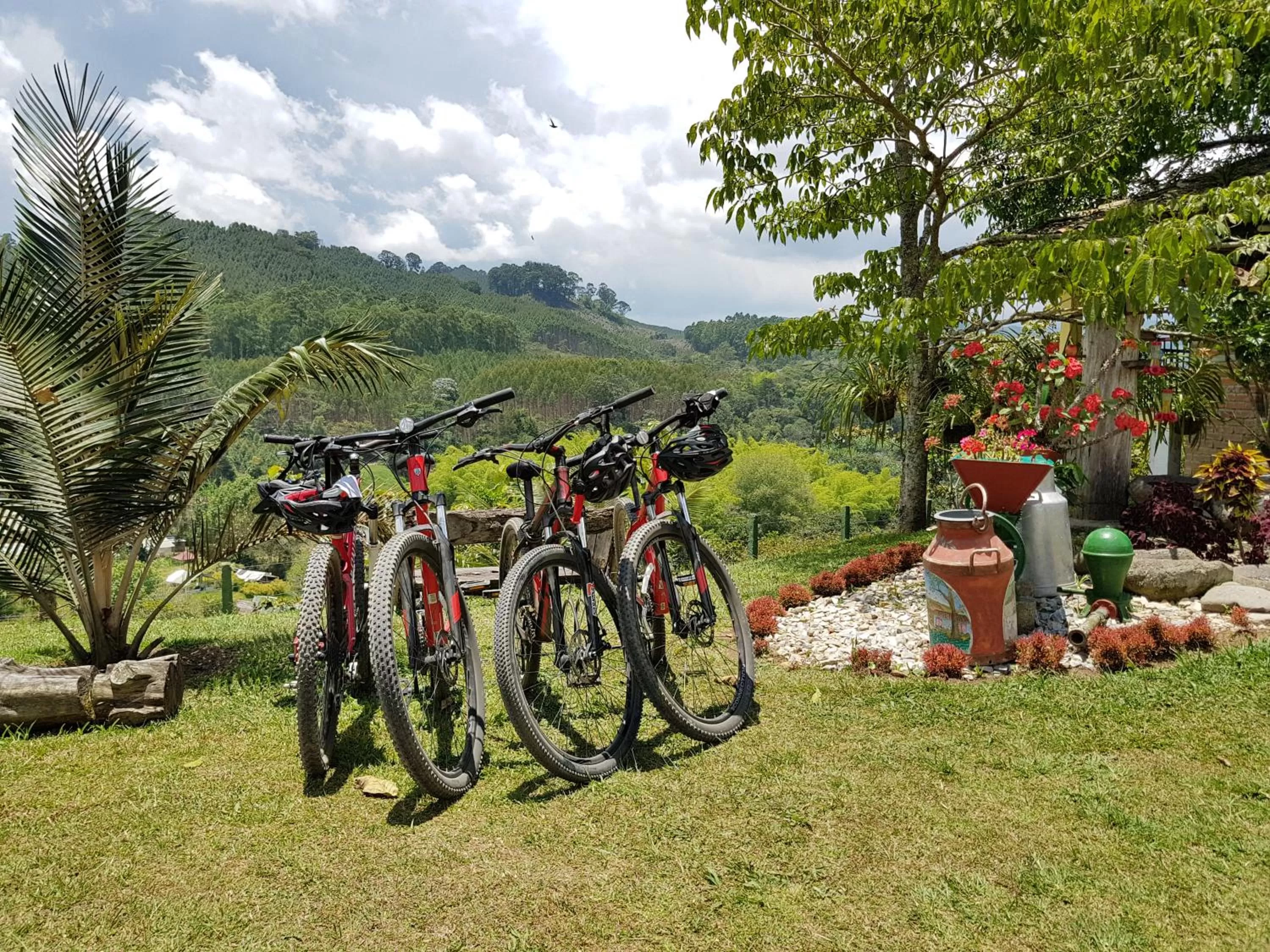 Activities in Beta Hotel