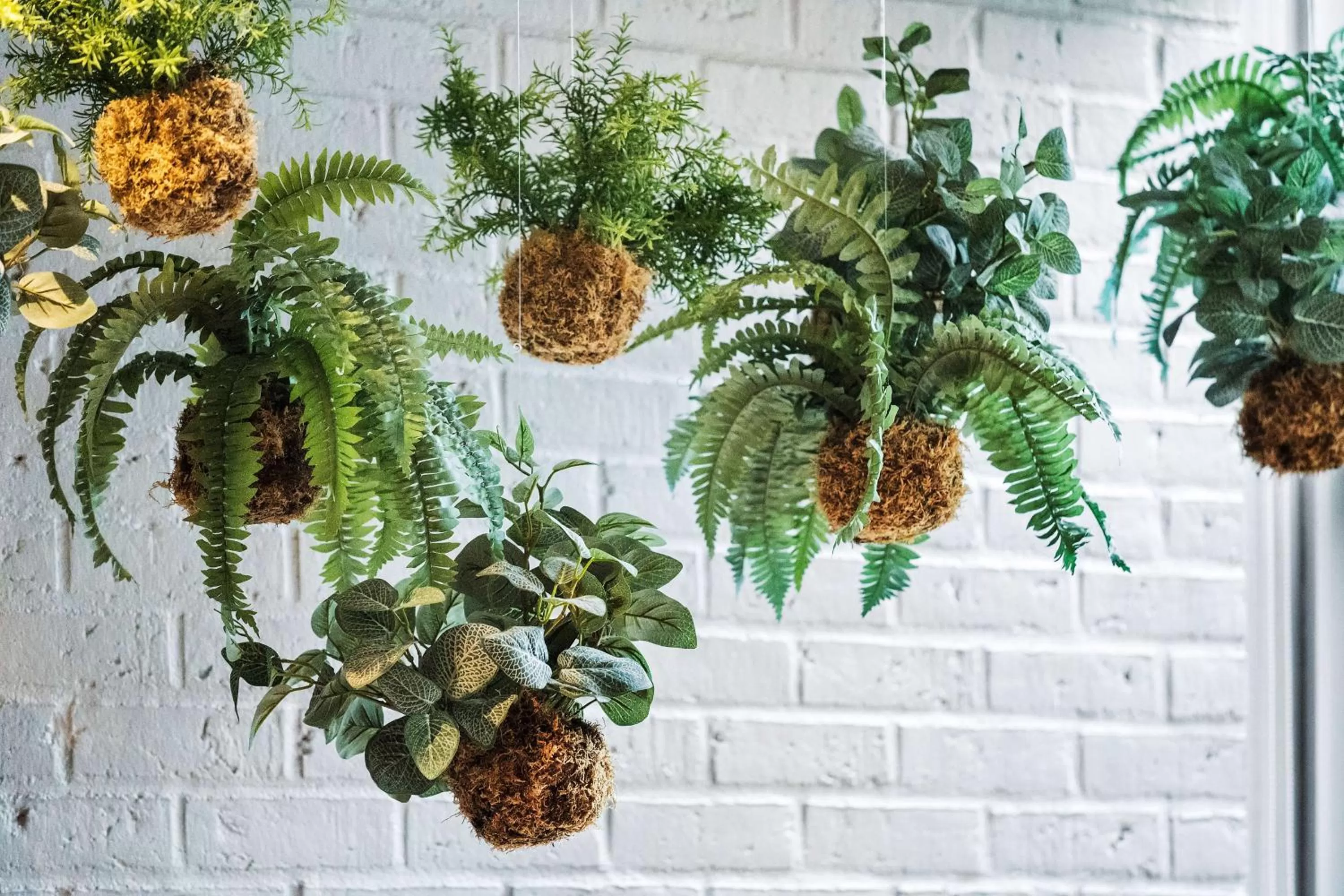 Restaurant/places to eat in Best Western Plus Airport Hotel