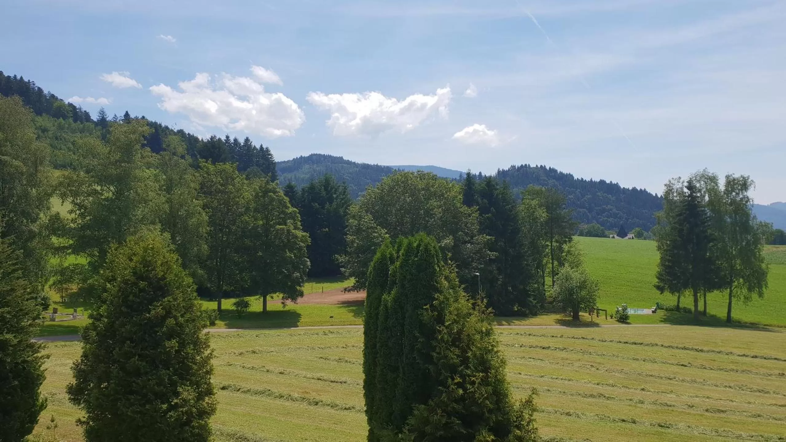 View (from property/room) in Silberkönig Schwarzwald Hotel & Restaurant Ringhotel