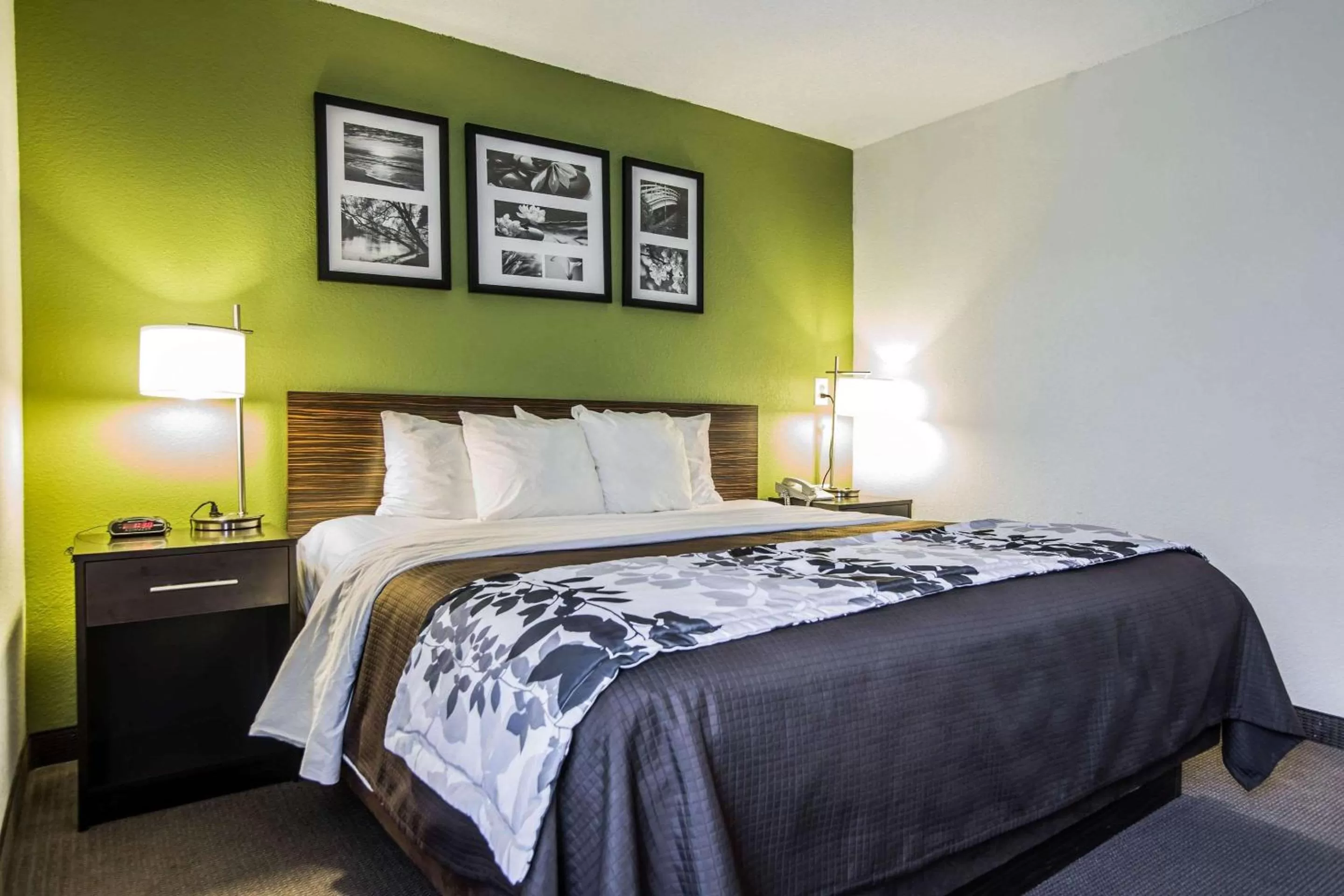 Photo of the whole room, Bed in Sleep Inn Columbia Airport