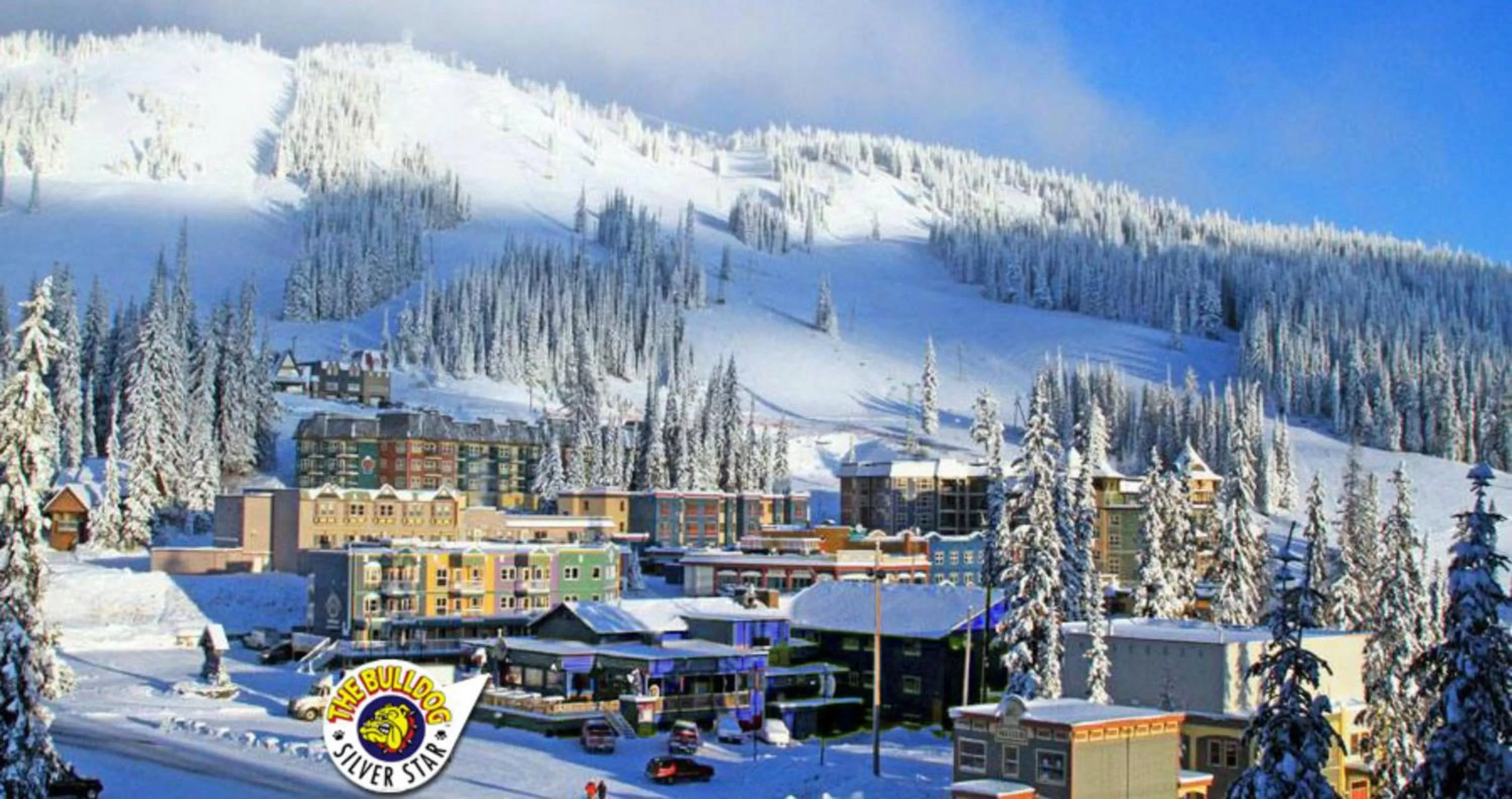 Neighbourhood in The Bulldog Hotel