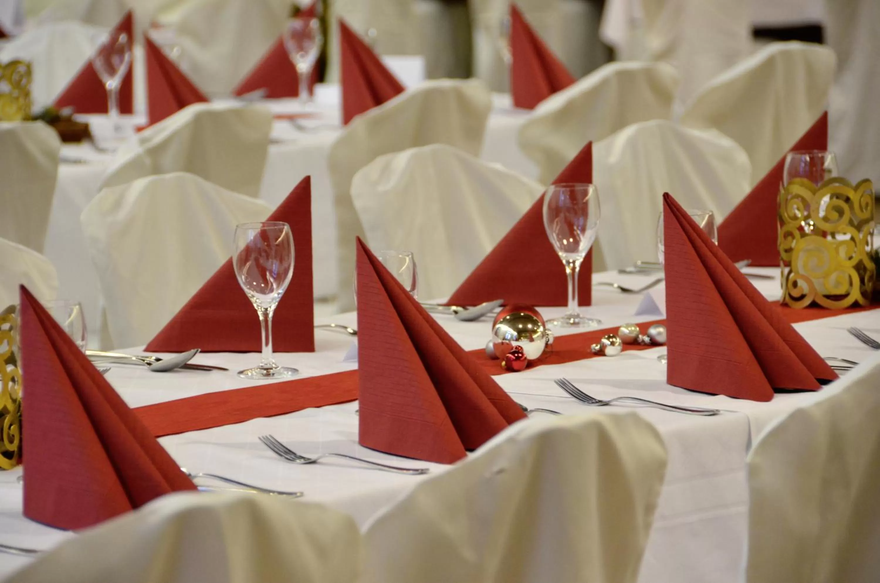 Banquet/Function facilities in Hotel Gasthof Am Forsthof