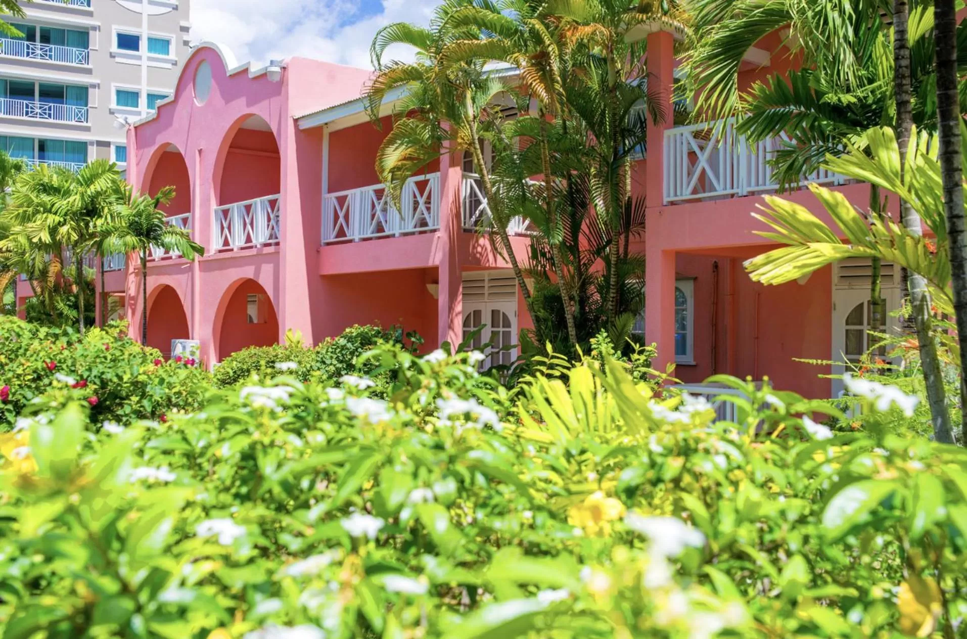 Garden in Dover Beach Hotel