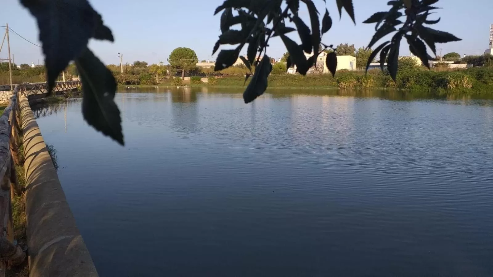 Other in Agriturismo Masseria Alberotanza